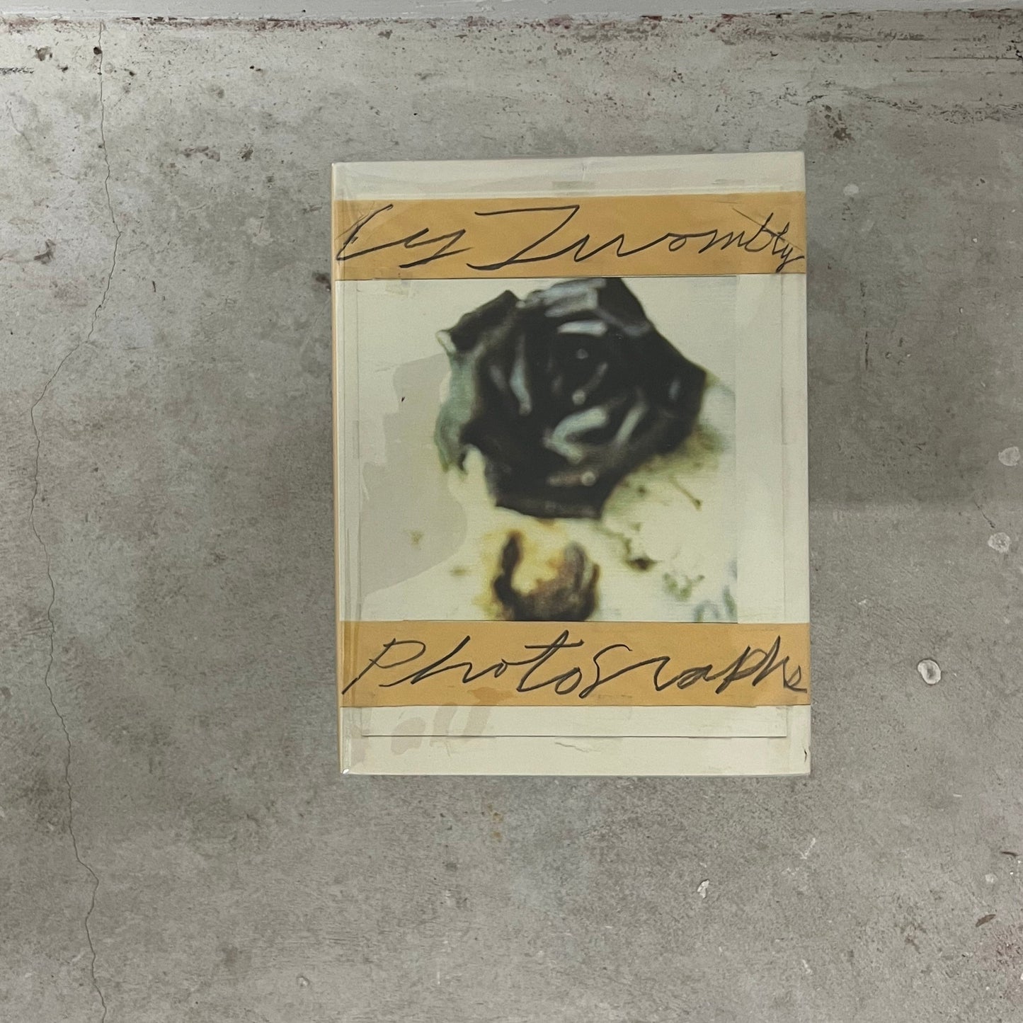Cy Twombly: Photographs 1951–1999
