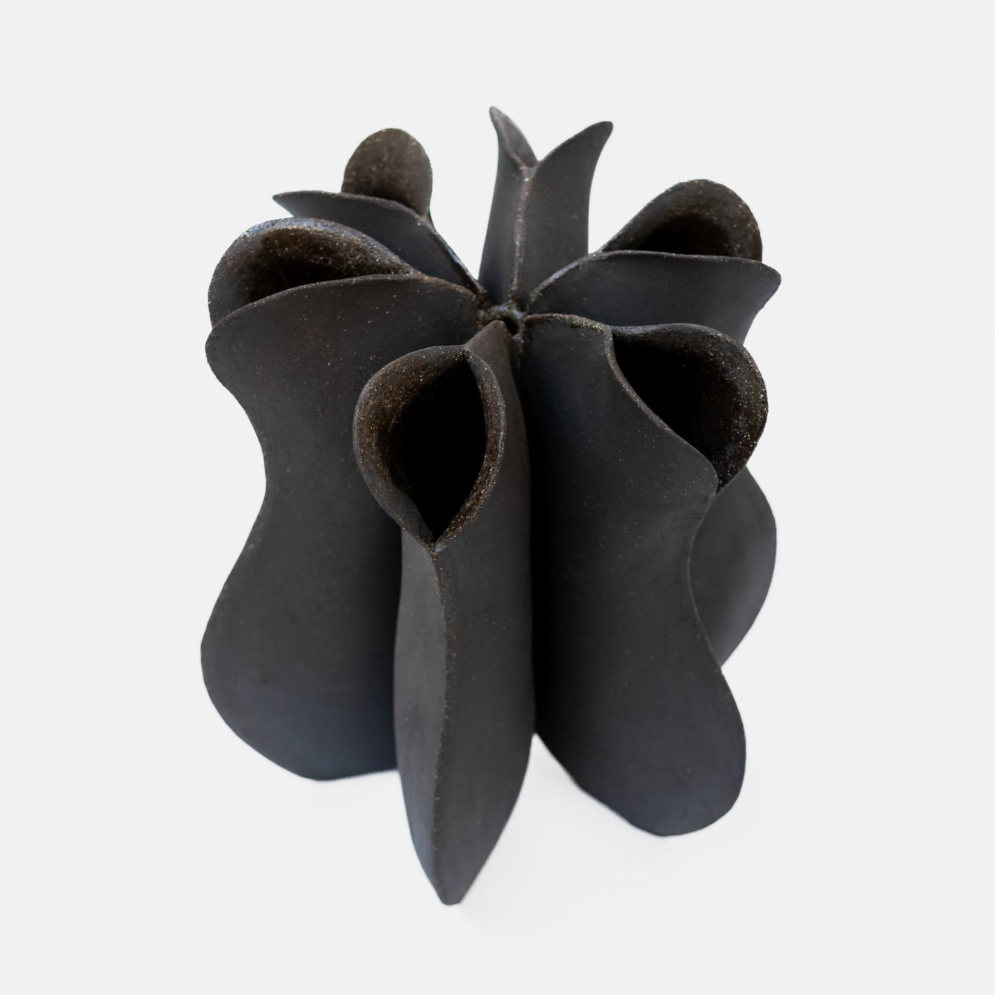 Beja Flower Vase Designed by Diana Barbosa Vases
