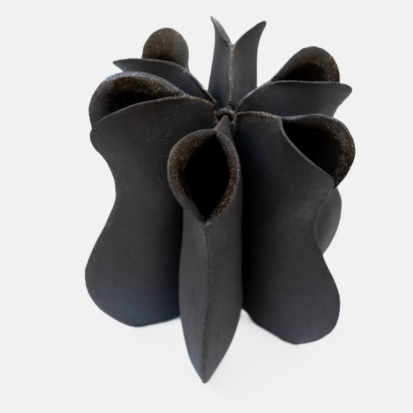 Beja Flower Vase Designed by Diana Barbosa Vases