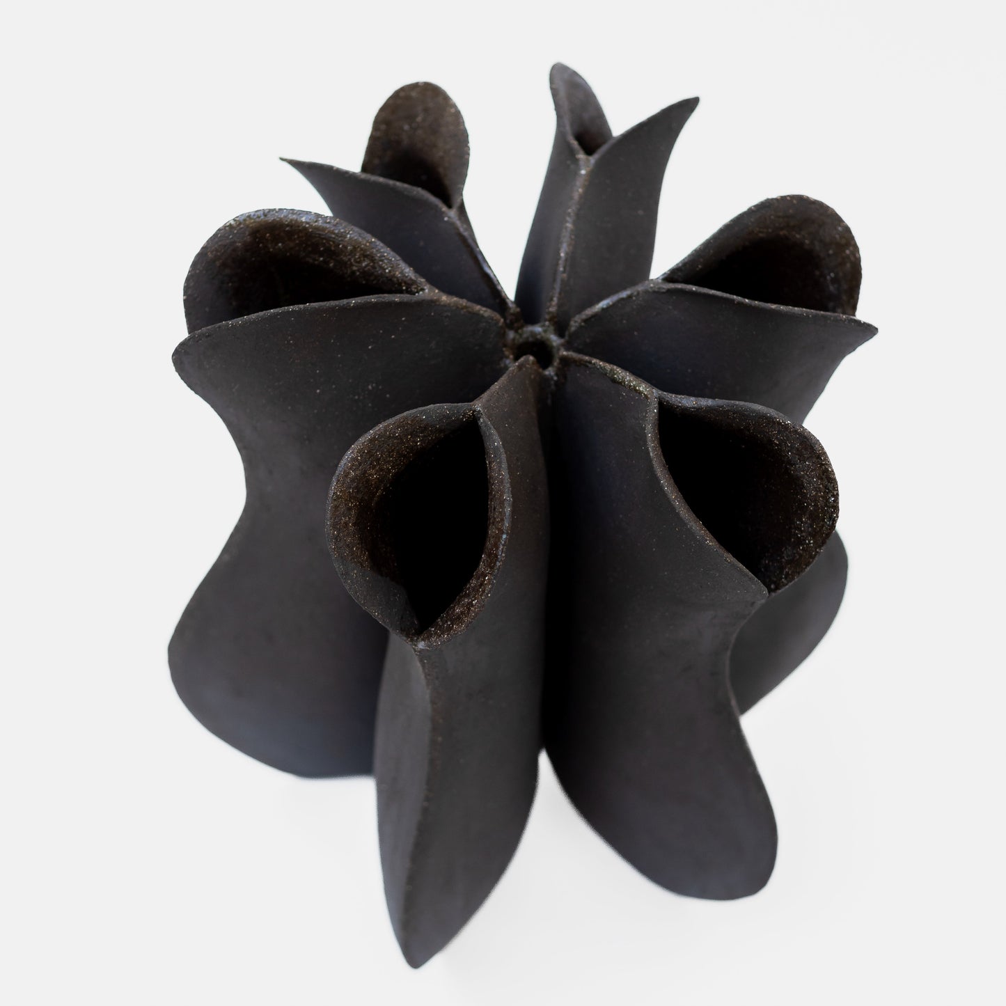 Beja Flower Vase Designed by Diana Barbosa Vases