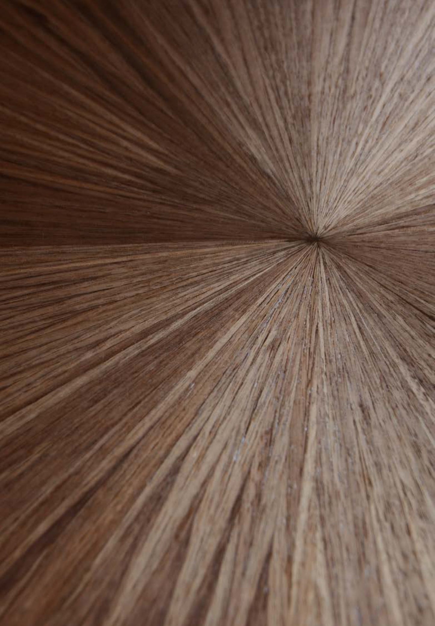 Bespoke GEGHEGE Desk by Nicolo Spinelli & Galerie Incanto Desks