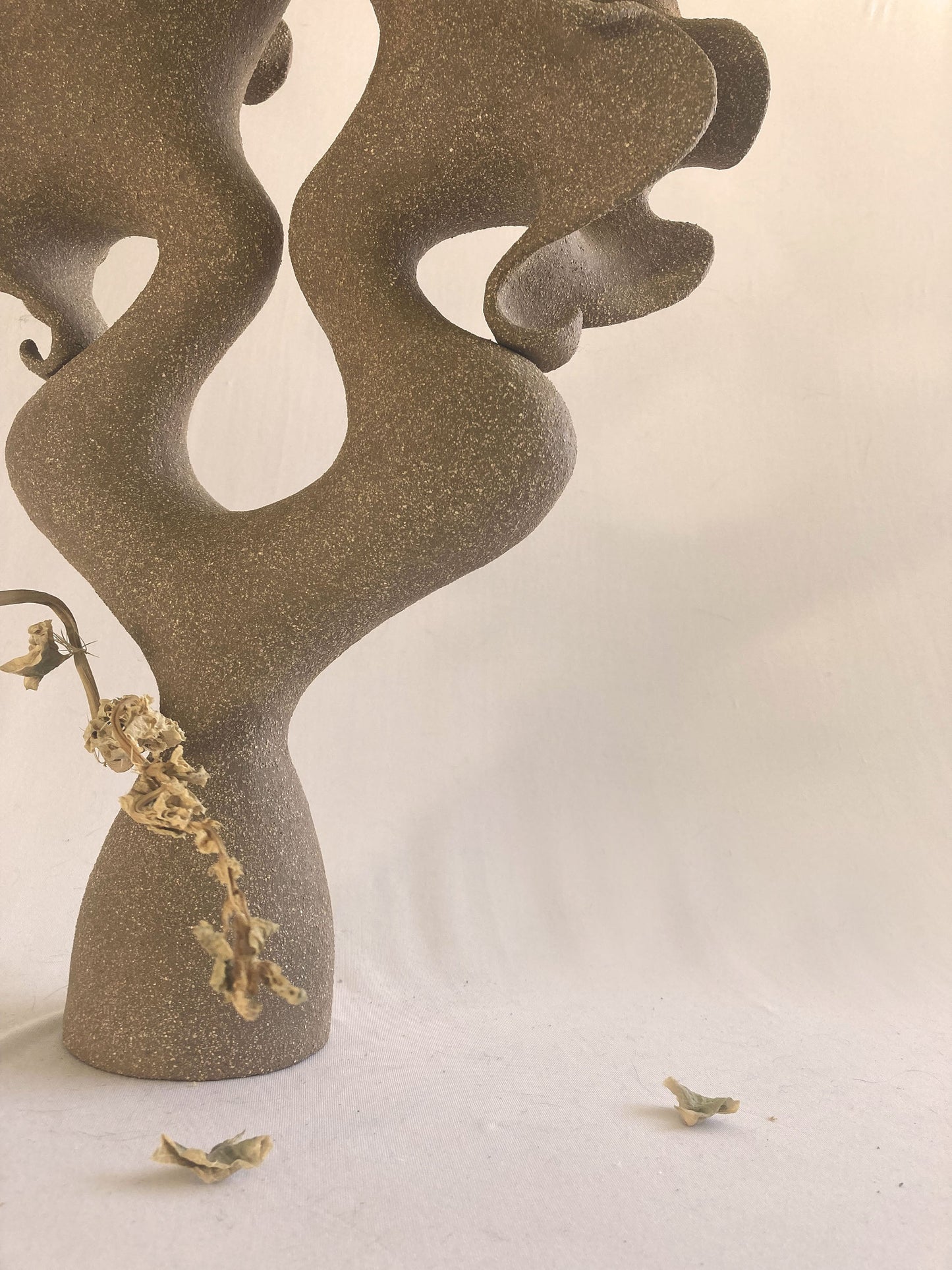Cime Vase 2025 Vases