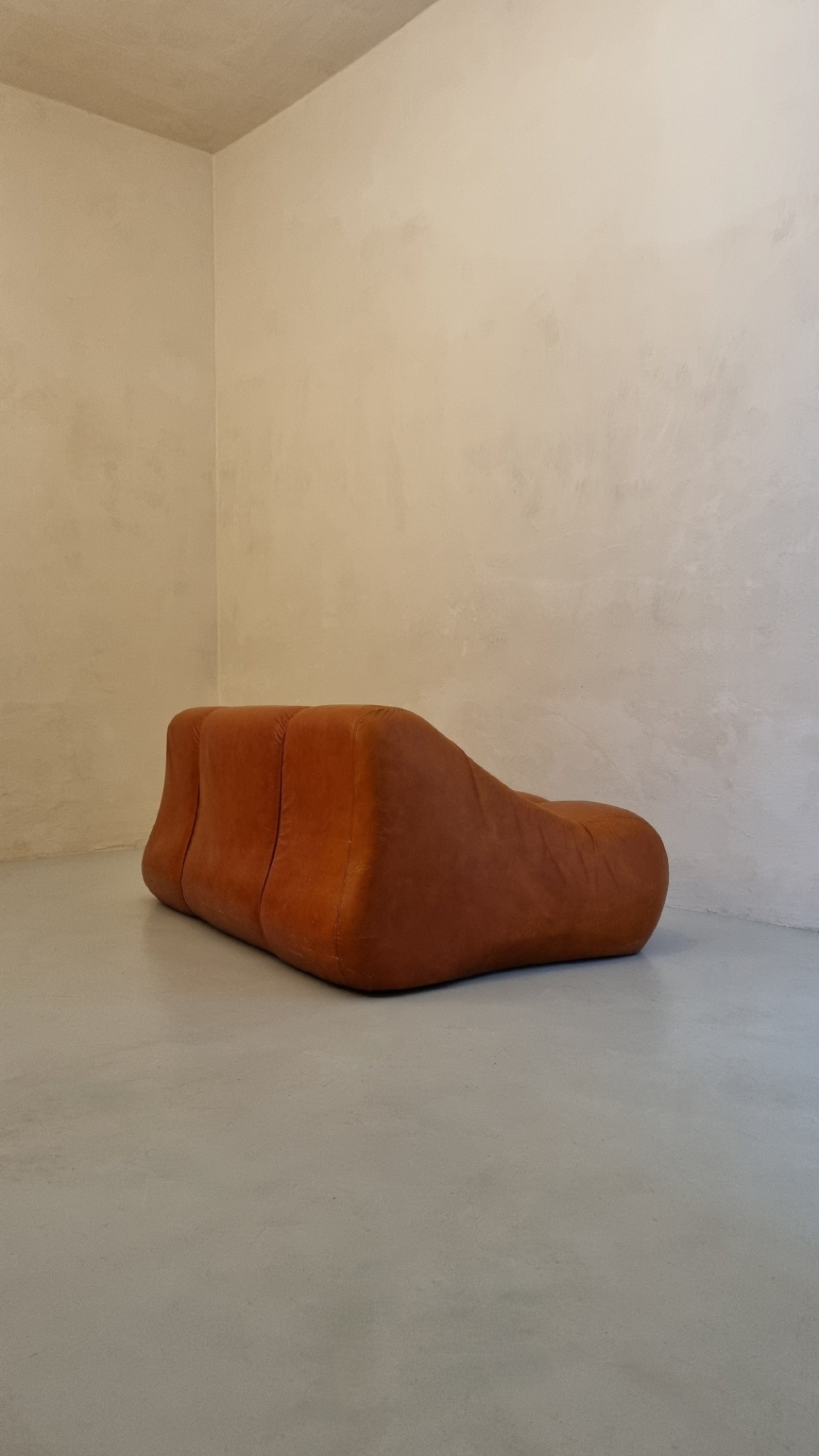 Ciuingam 2-Seater Sofa by De Pas D' Urbino & Lomazzi for BBB Bonacina Sofas Vintage