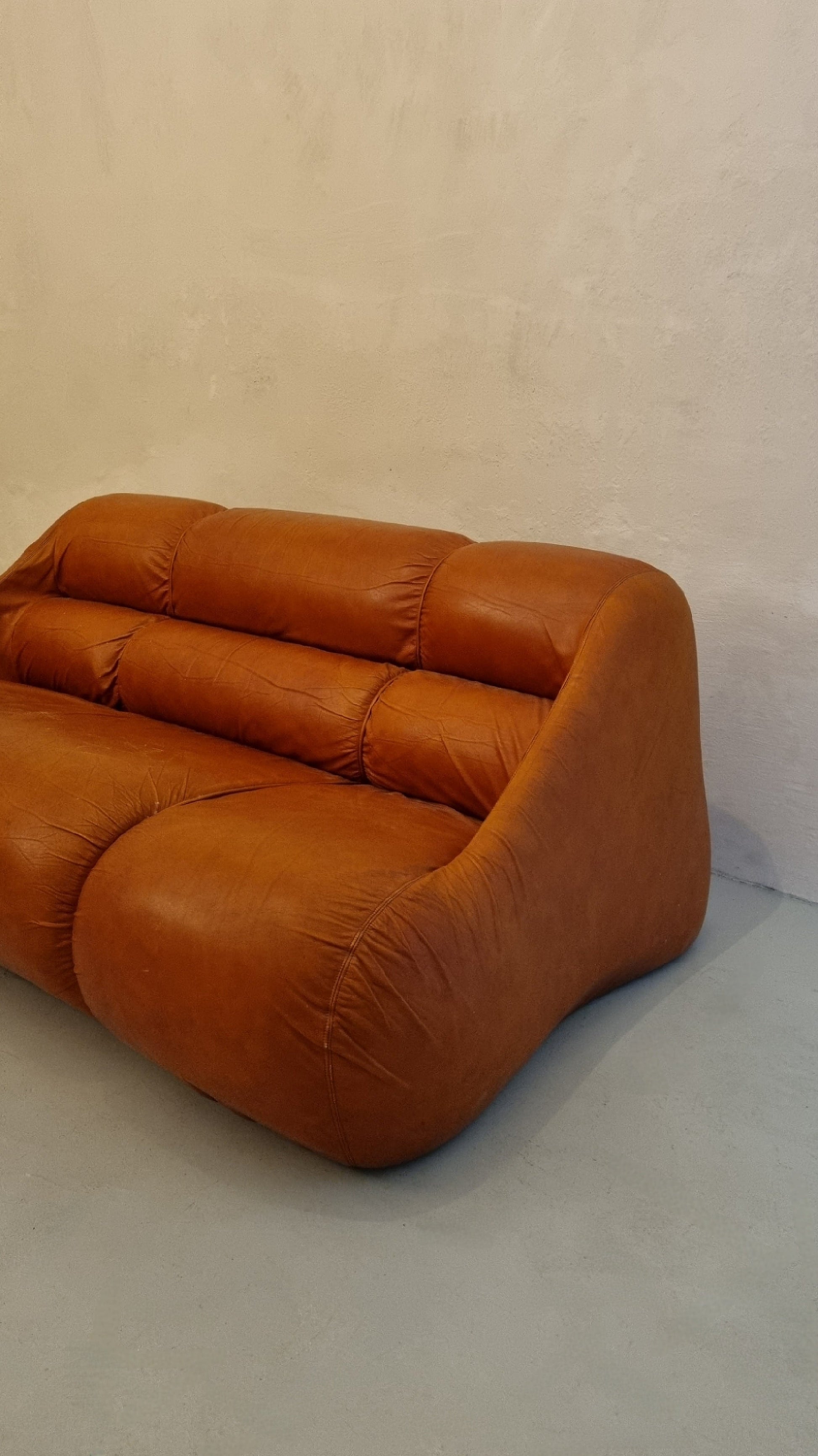 Ciuingam 2-Seater Sofa by De Pas D' Urbino & Lomazzi for BBB Bonacina Sofas Vintage