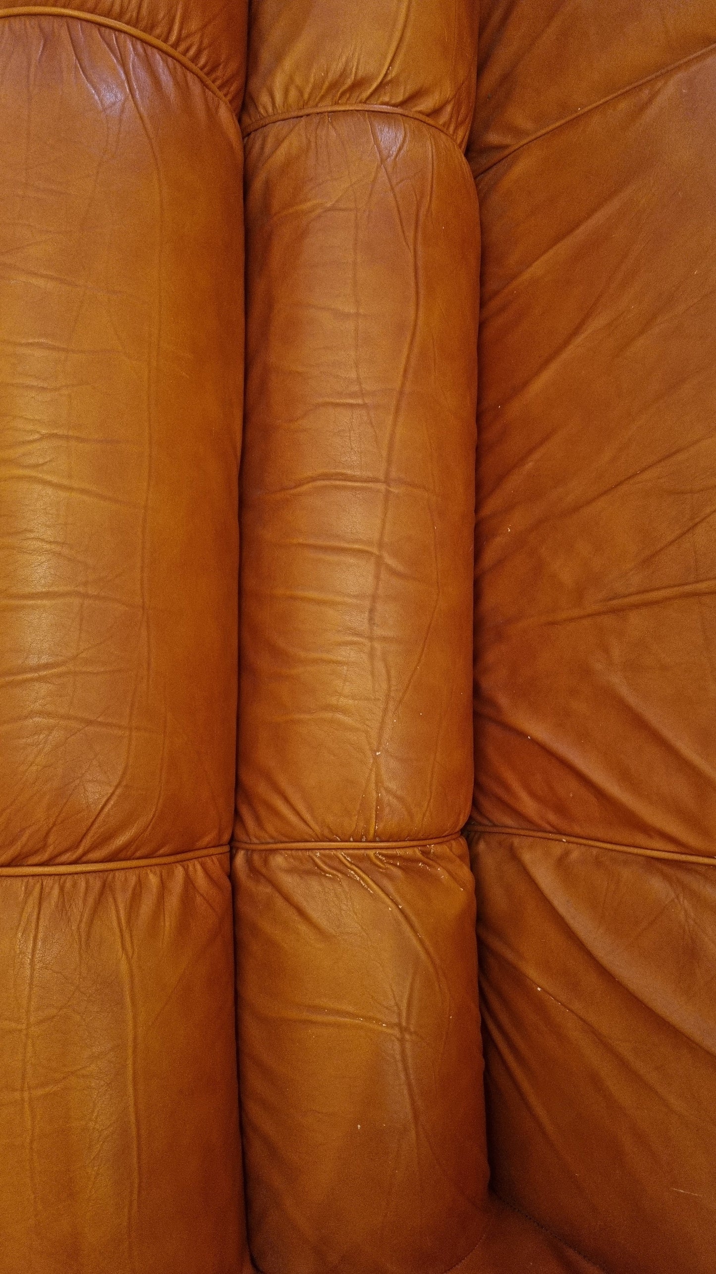 Ciuingam 2-Seater Sofa by De Pas D' Urbino & Lomazzi for BBB Bonacina Sofas Vintage