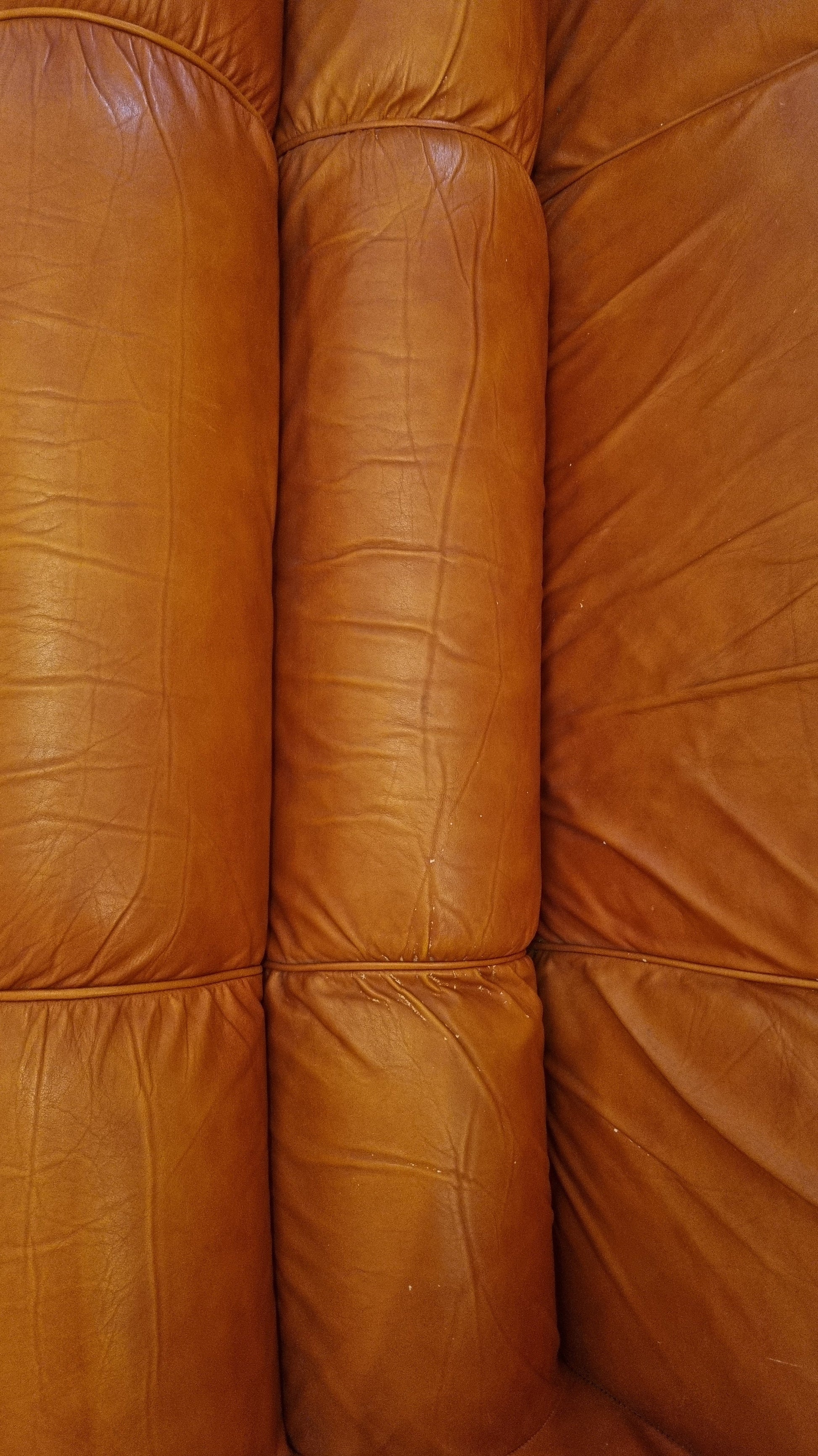 Ciuingam 2-Seater Sofa by De Pas D' Urbino & Lomazzi for BBB Bonacina Sofas Vintage