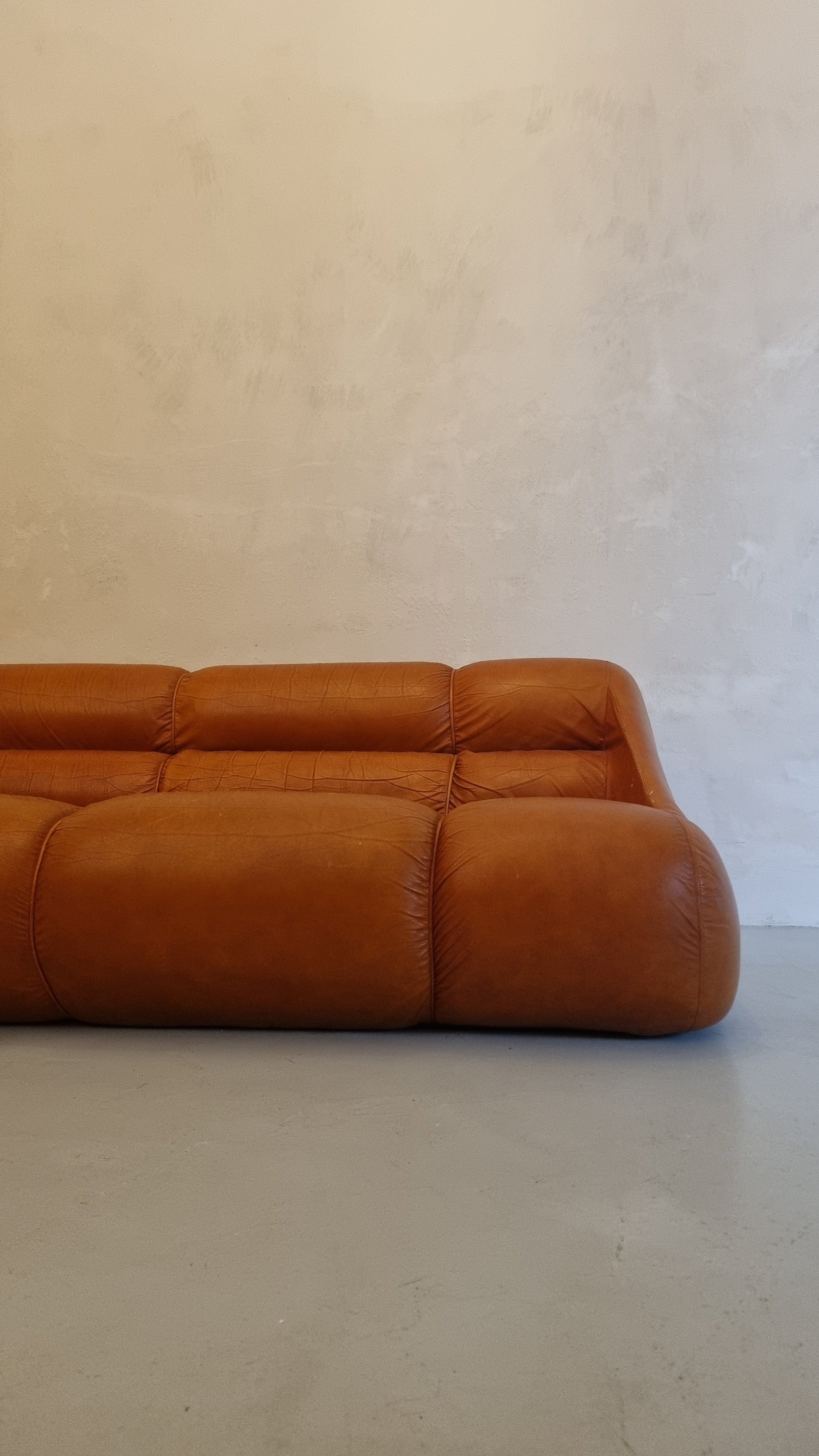 Ciuingam 3-Seater Sofa by De Pas D' Urbino & Lomazzi for BBB Bonacina Sofas Vintage