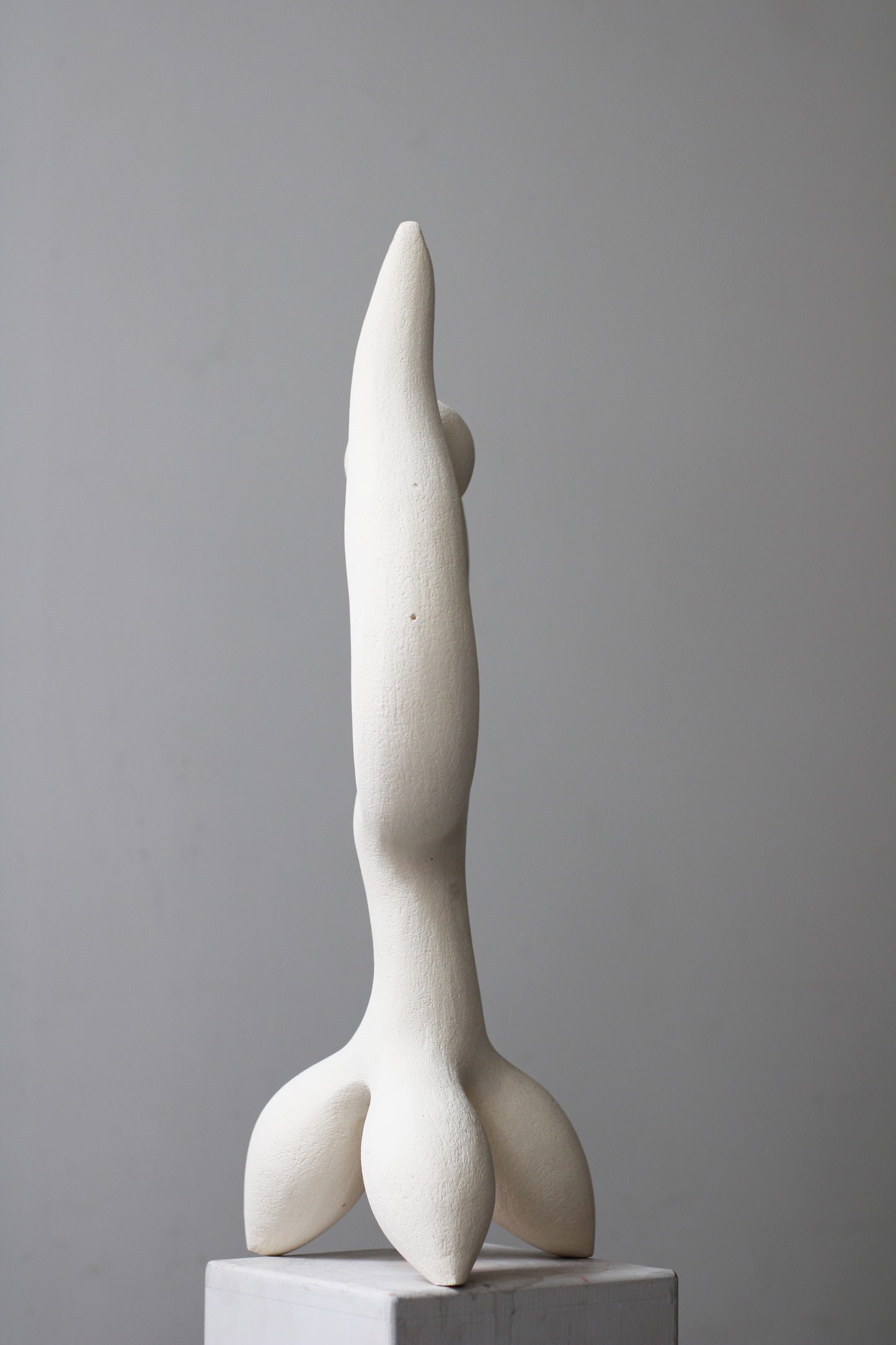 Genetically Crowned Sculpture Sculptures