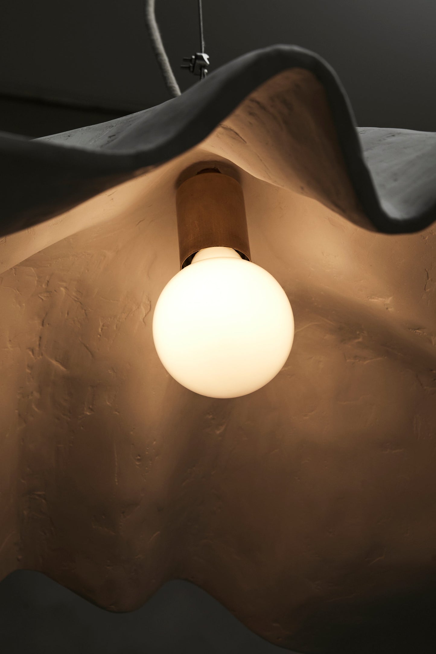 Le Fleur Pendant by Studio Tristan Kallas Pendant Lights
