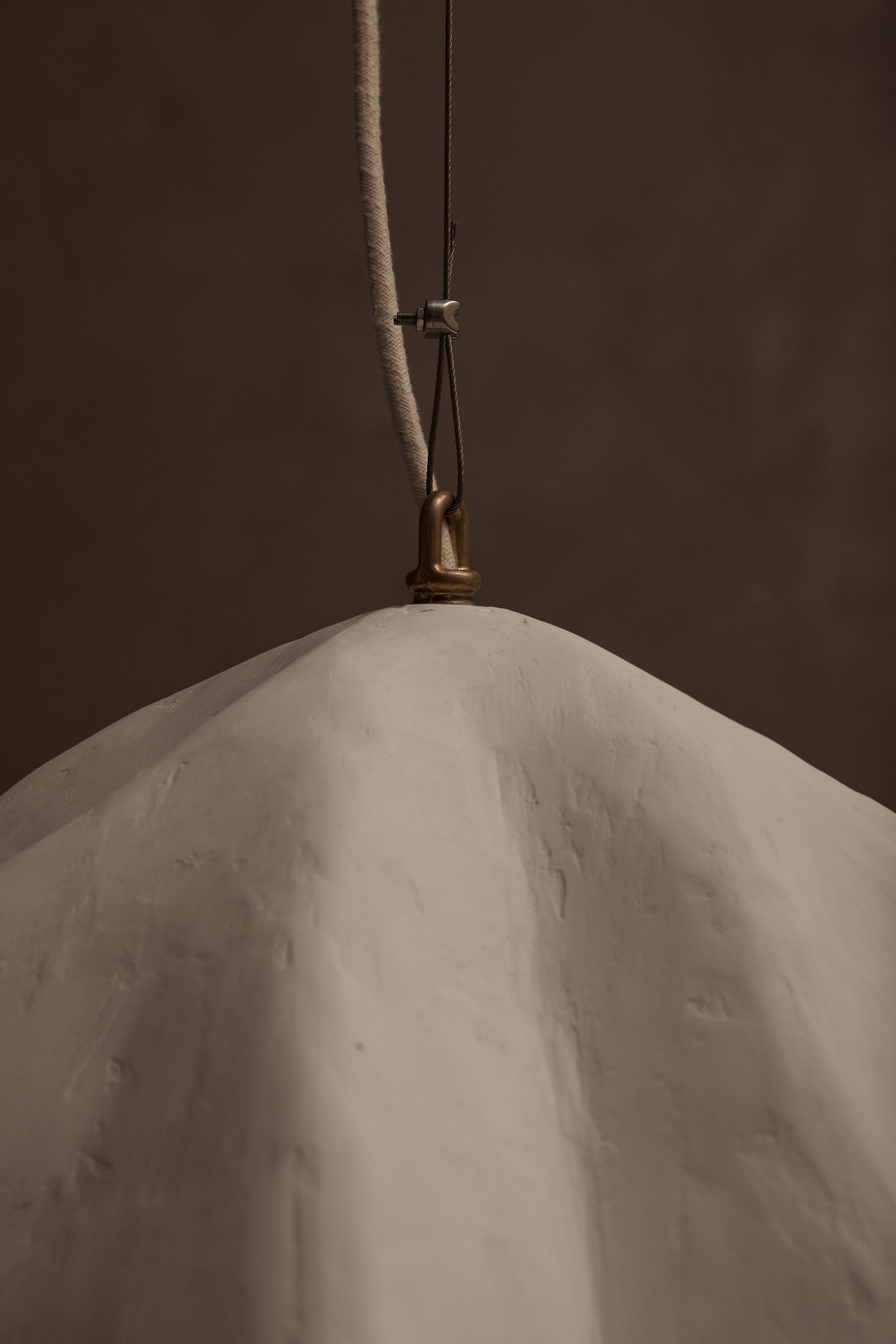 Le Fleur Pendant by Studio Tristan Kallas Pendant Lights