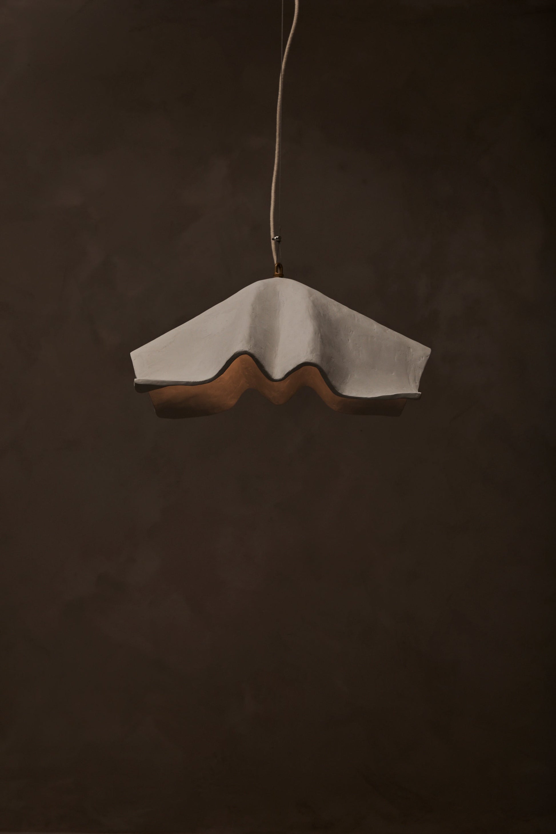 Le Fleur Pendant by Studio Tristan Kallas Pendant Lights