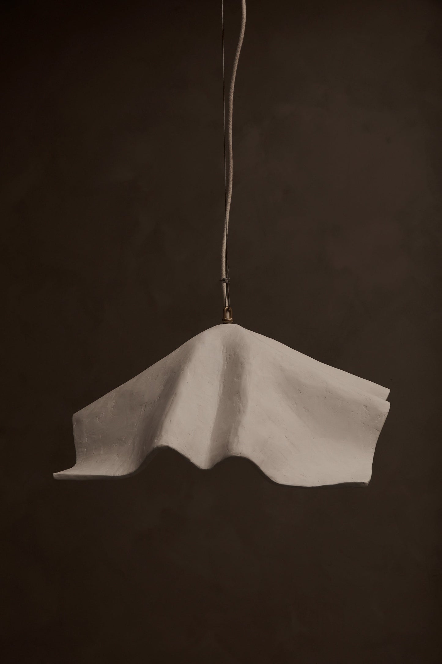 Le Fleur Pendant by Studio Tristan Kallas Pendant Lights