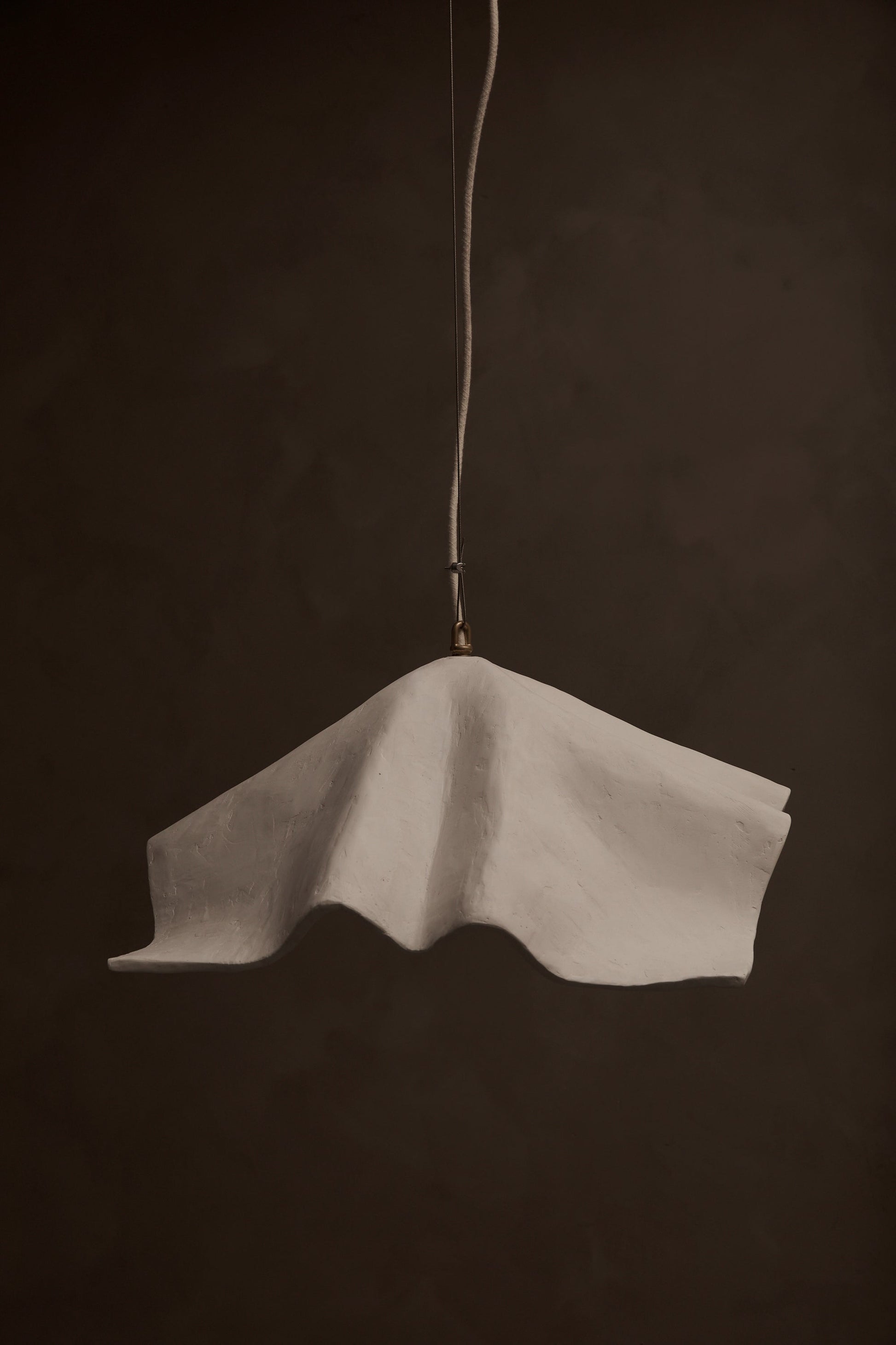 Le Fleur Pendant by Studio Tristan Kallas Pendant Lights