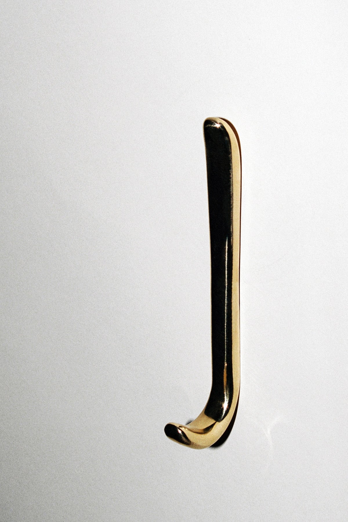 Luis Hook - Polished Brass Hardware