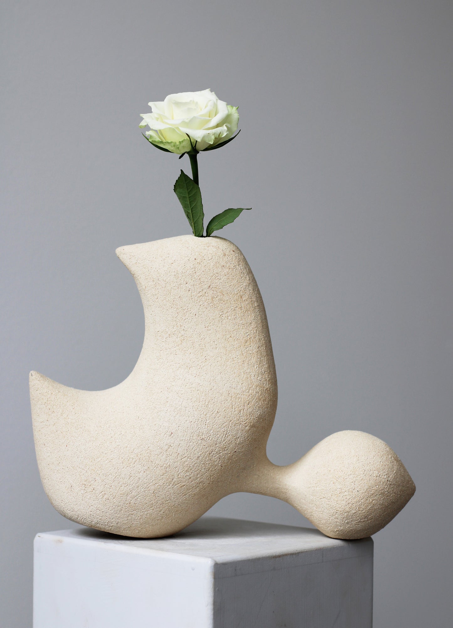 Pleomorph (2nd Gen.) 2 Vase Vases
