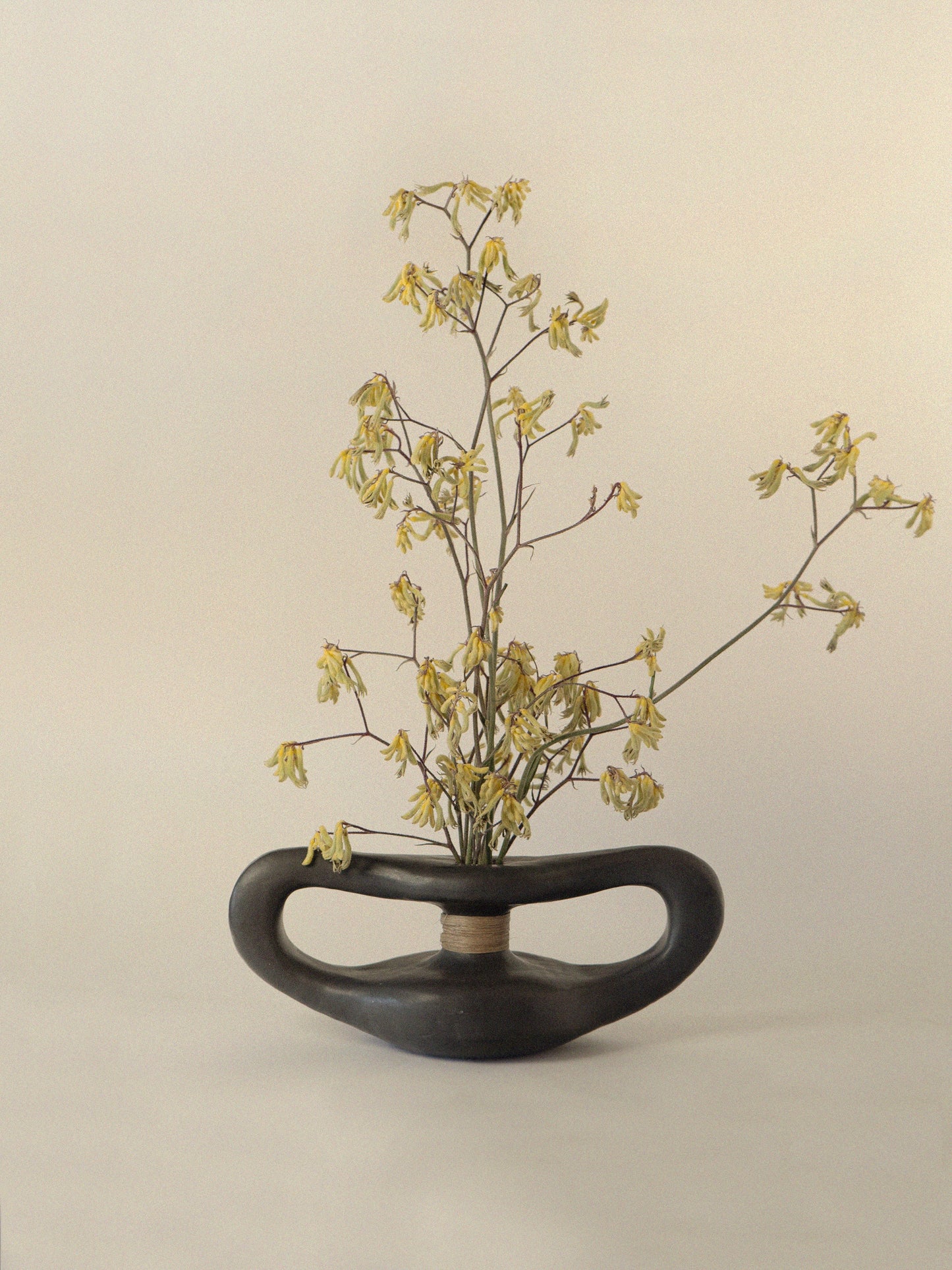 Reed Wrapped Vase Vases