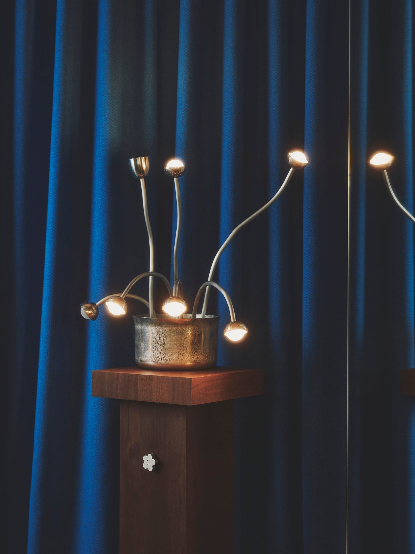 Seven Flowers and a Stand Floor Lamps