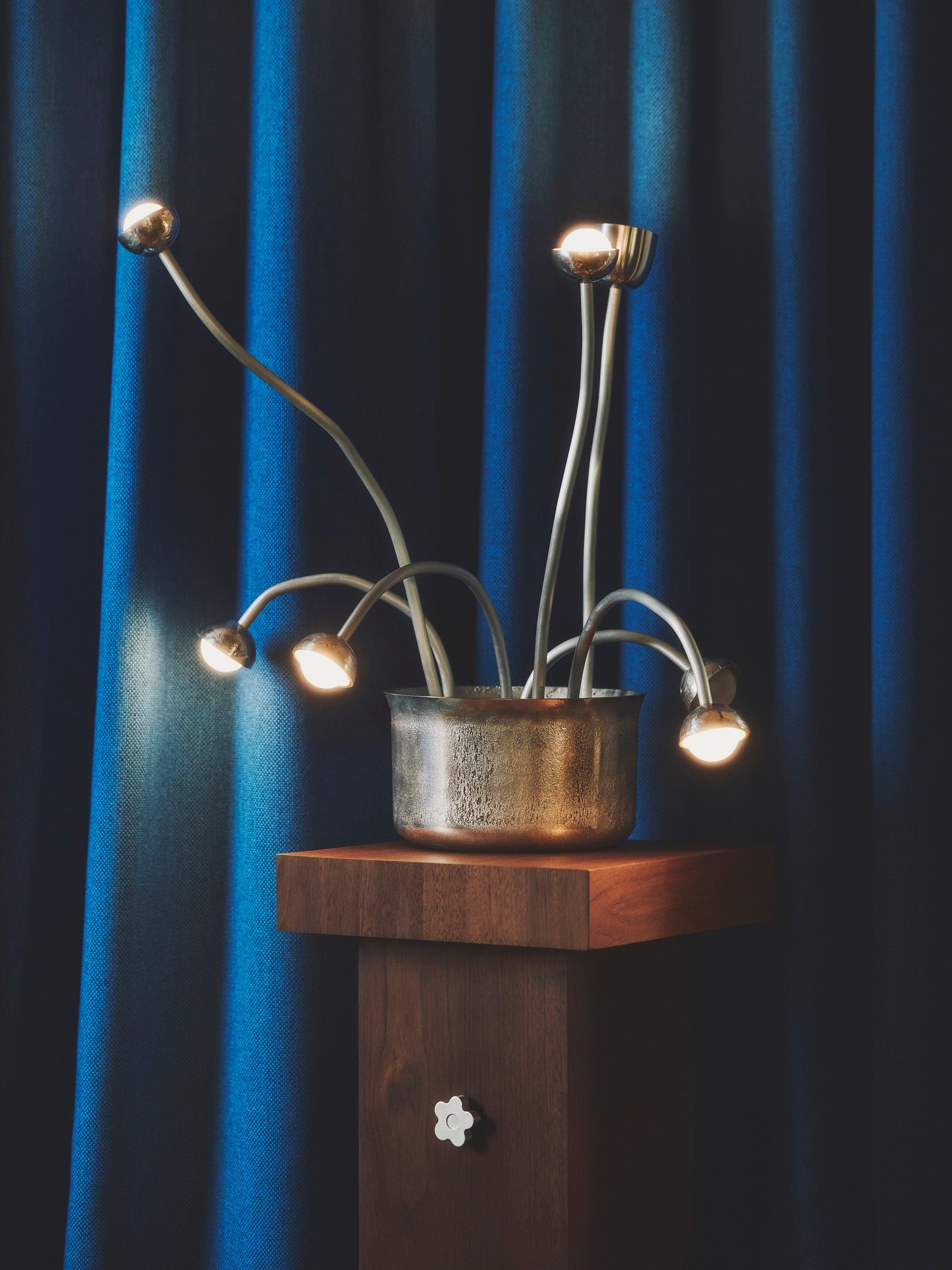 Seven Flowers and a Stand Floor Lamps