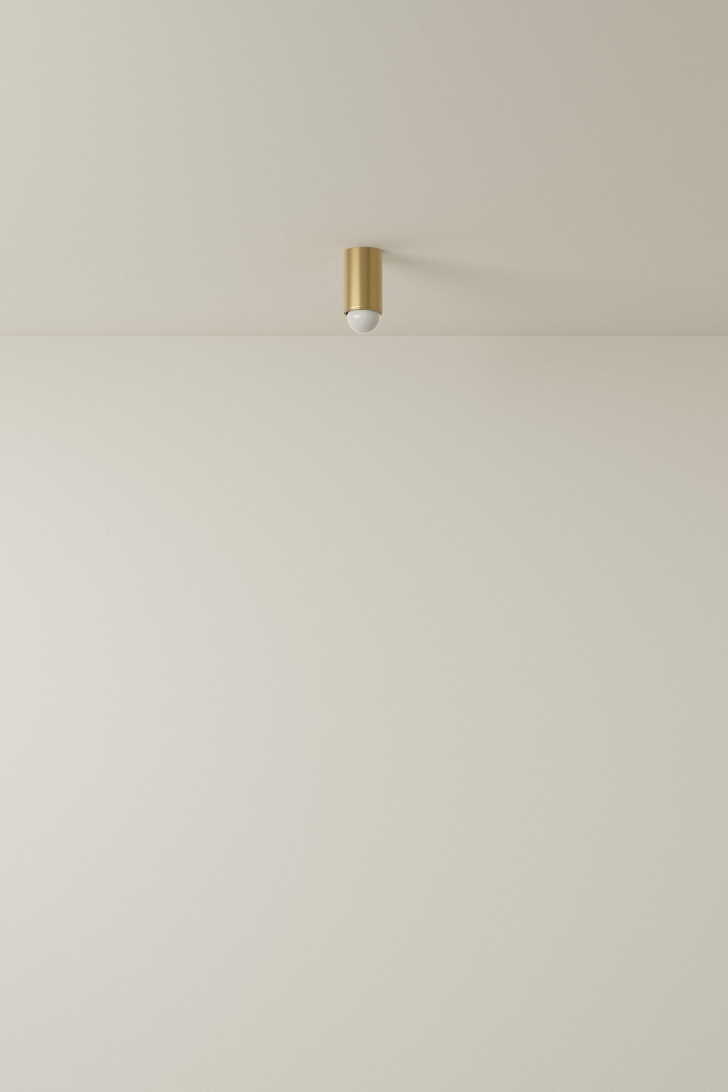 Spot Ceiling 01 Pendant Lights