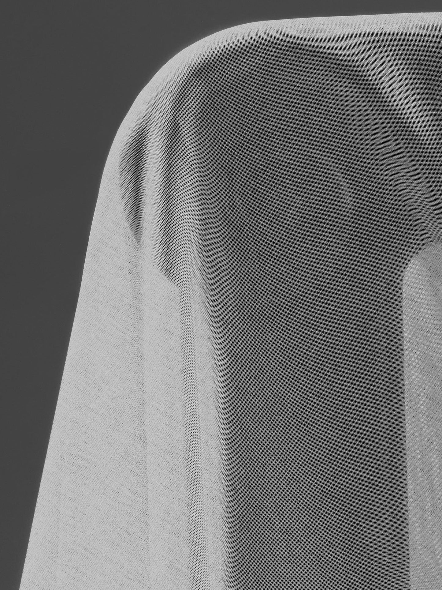 The Nautilus Mirror by Astrid Houssin Mirrors