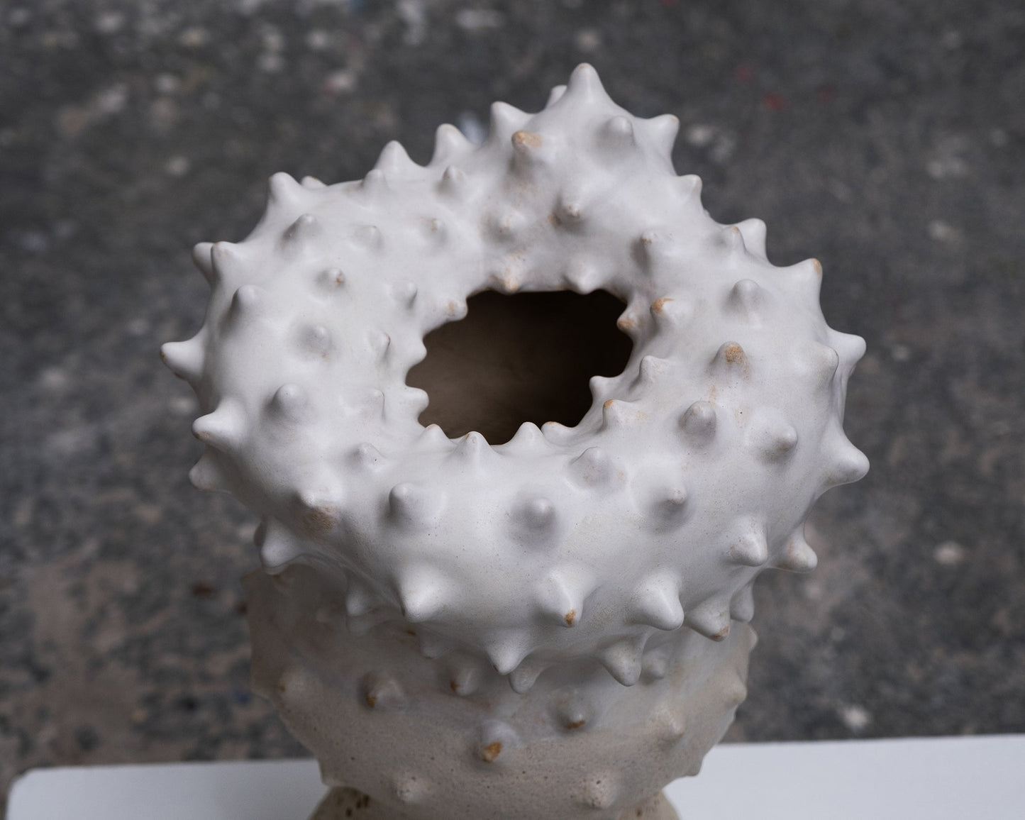 Thorn Vase by Terre Brute Vases