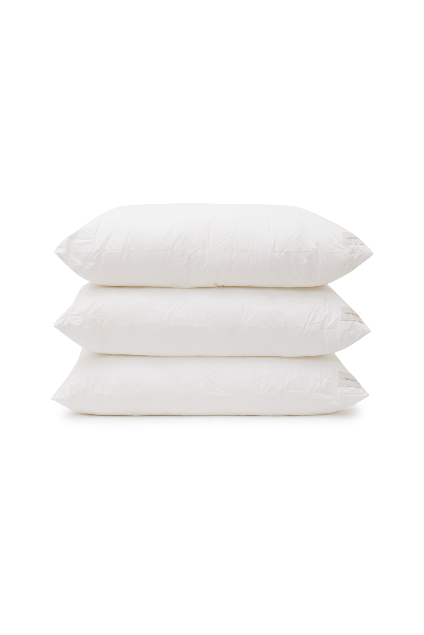 Sleep Pillow by Tyler Lambert Pillows