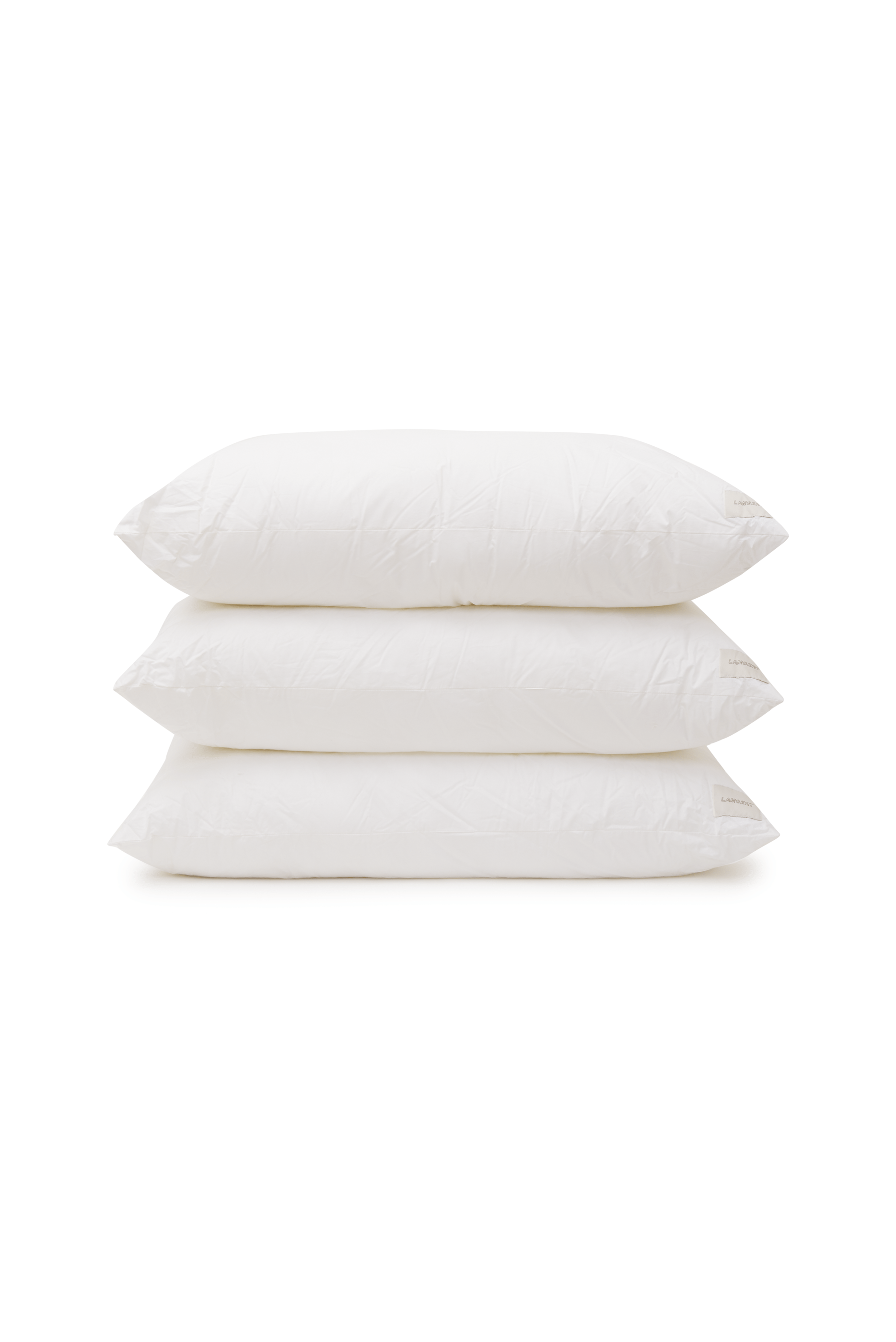 Sleep Pillow by Tyler Lambert Pillows