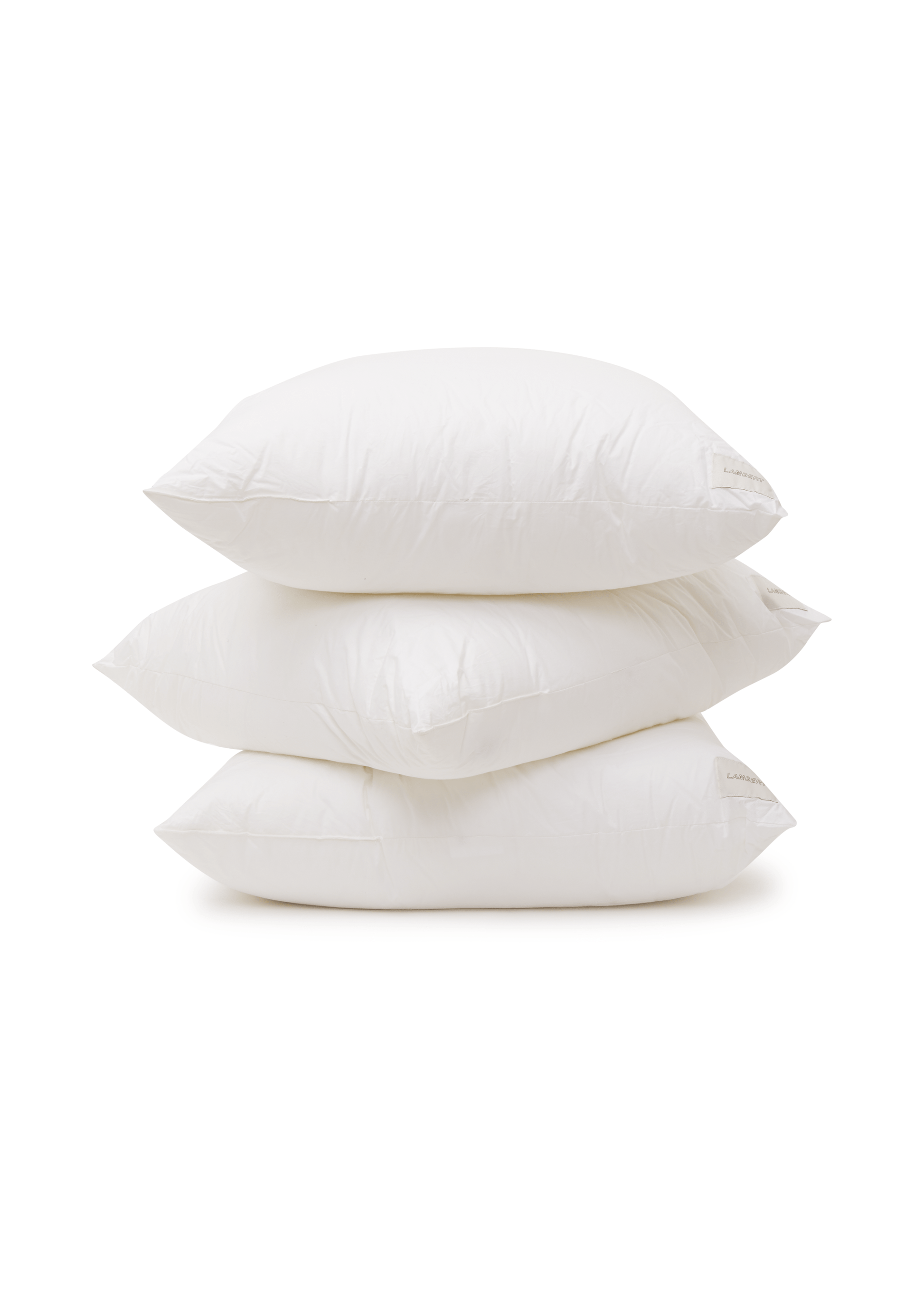 Sleep Pillow by Tyler Lambert Pillows