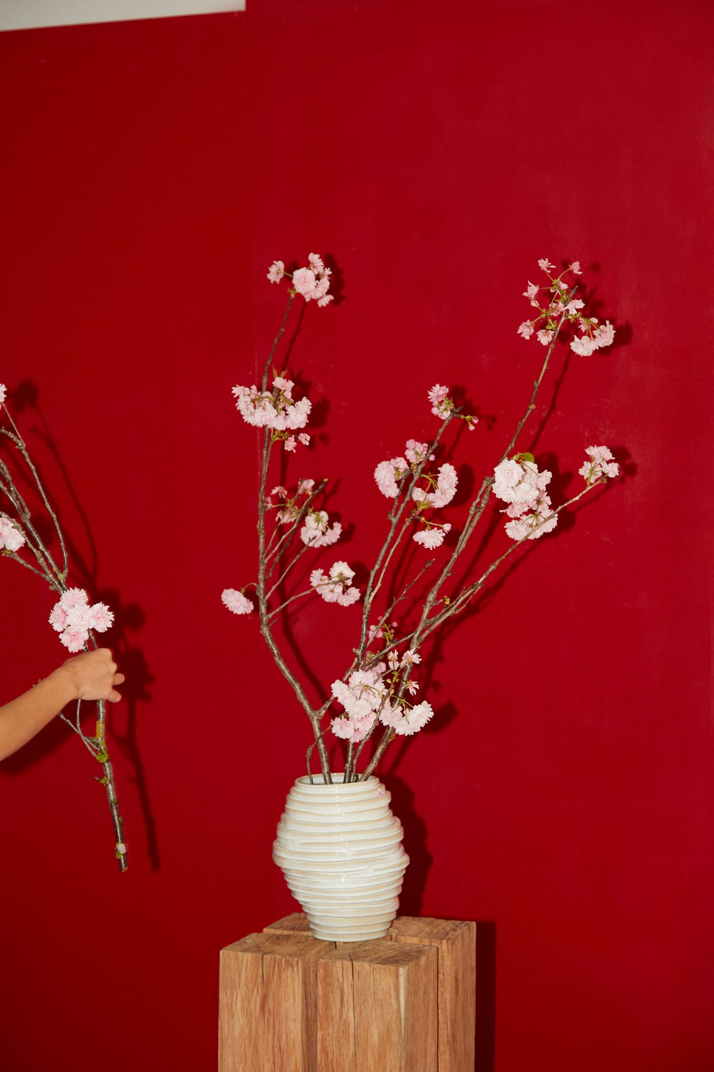 Alfonso Vase in Shiny White Vases