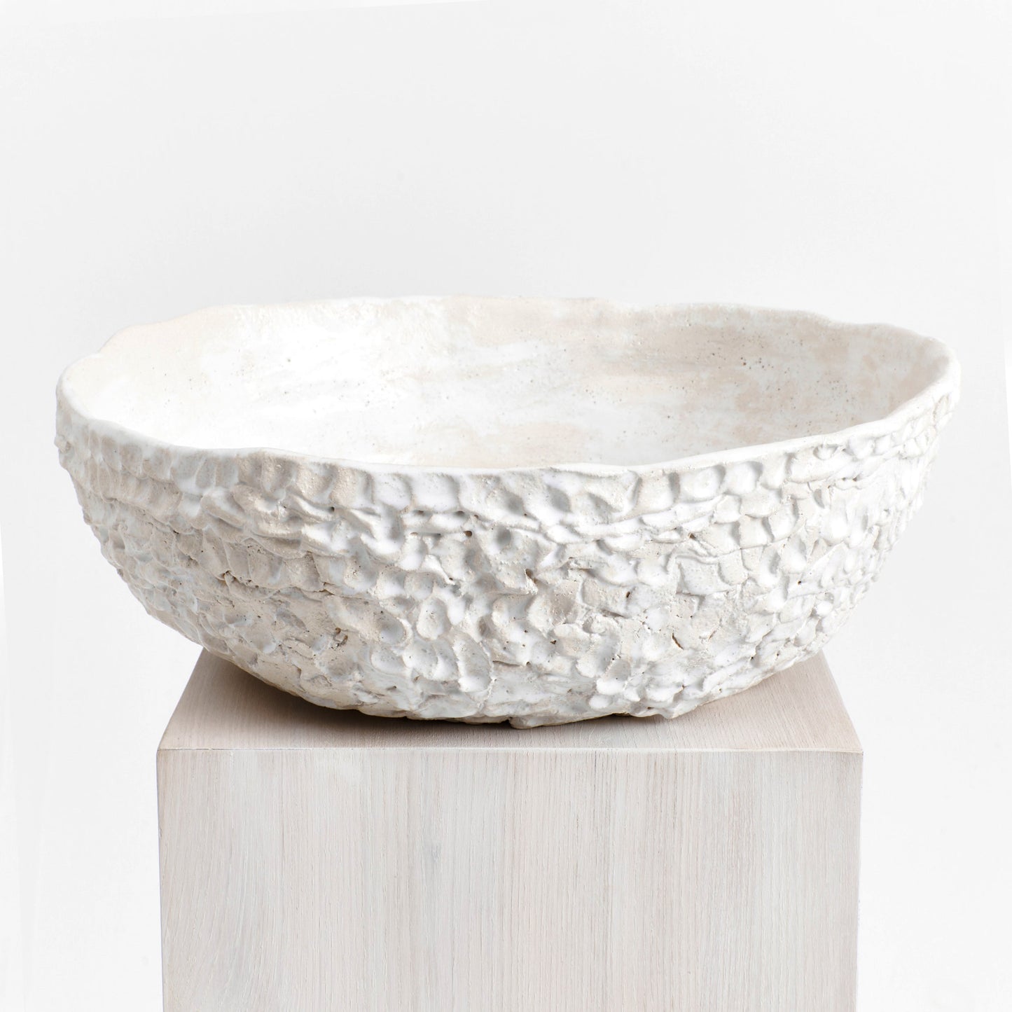 Casa Bowl in White Bowls