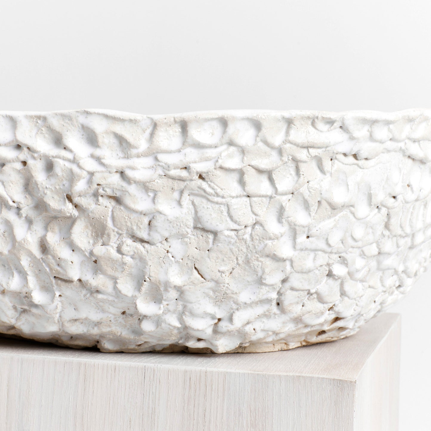 Casa Bowl in White Bowls