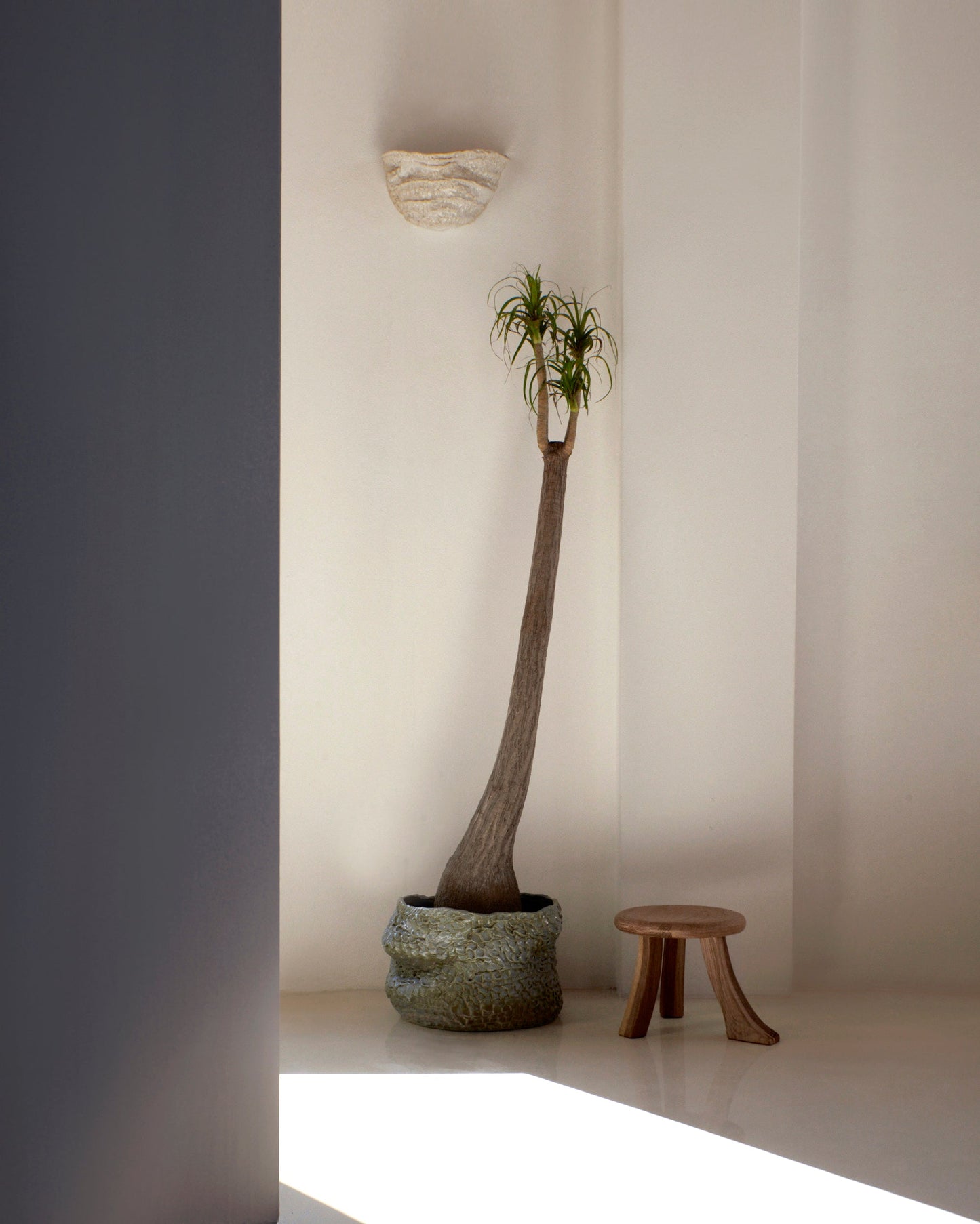 Casa Planter No 1 in Moss Blue Planters