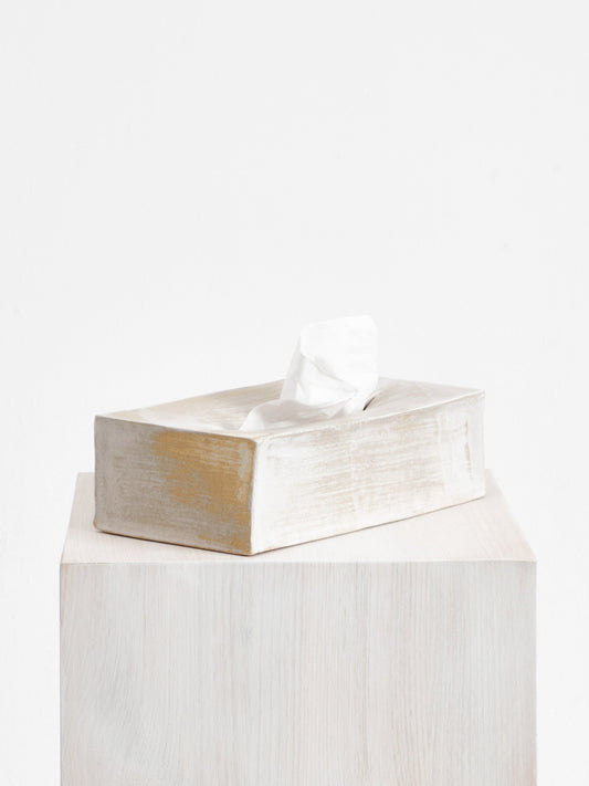 Ceramic Tissue Box in Brushed White Bath