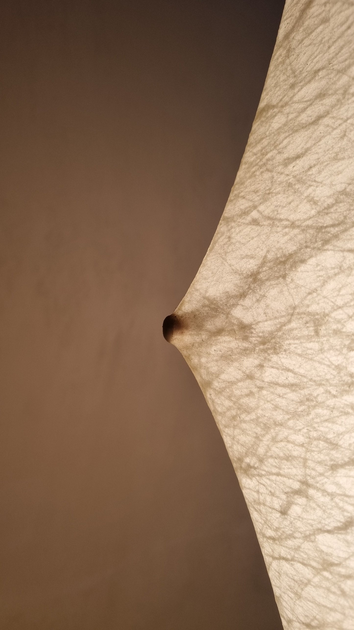Fantasma Grande Floor Lamp Floor Lamps