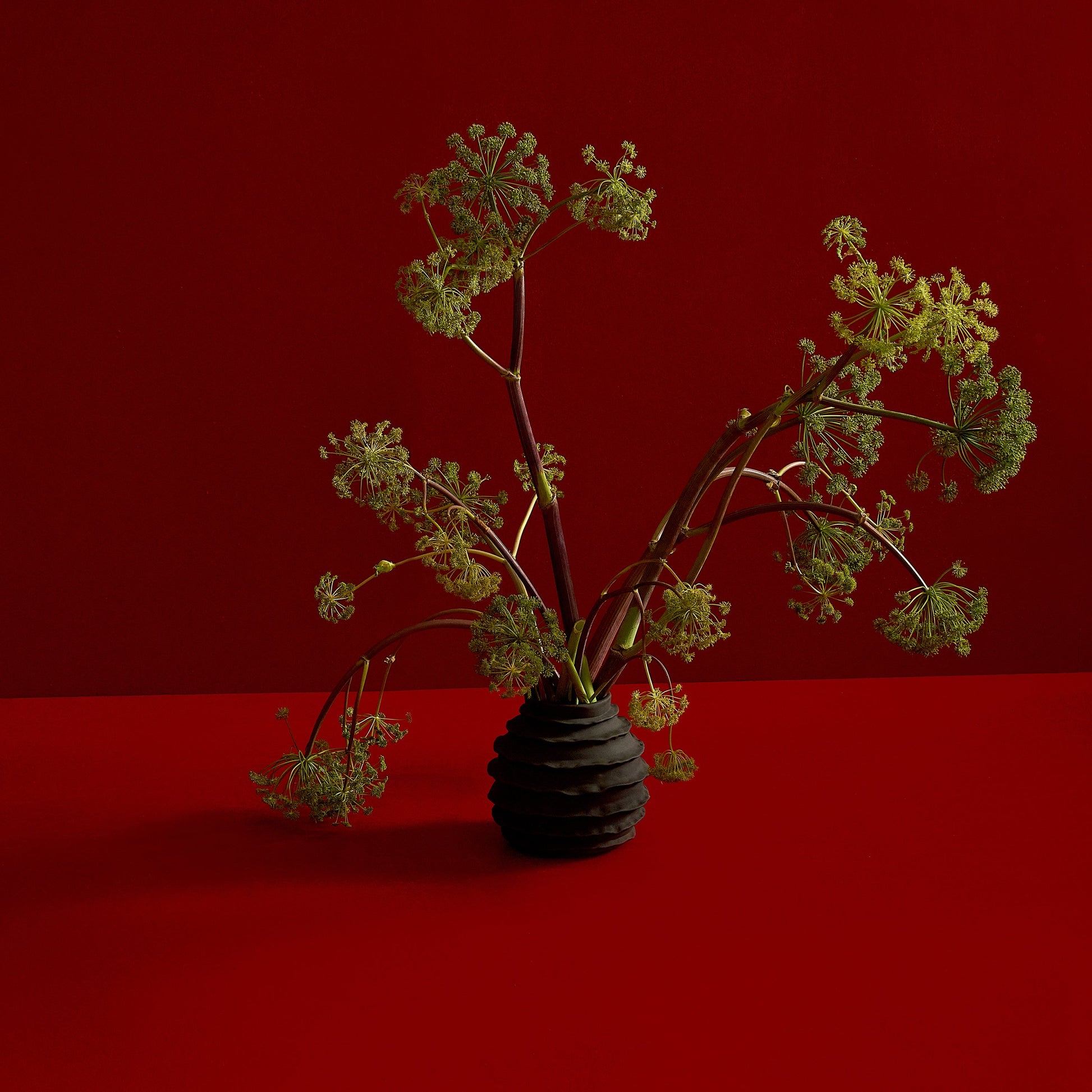 Holiday Vase in Dusty Black Vases