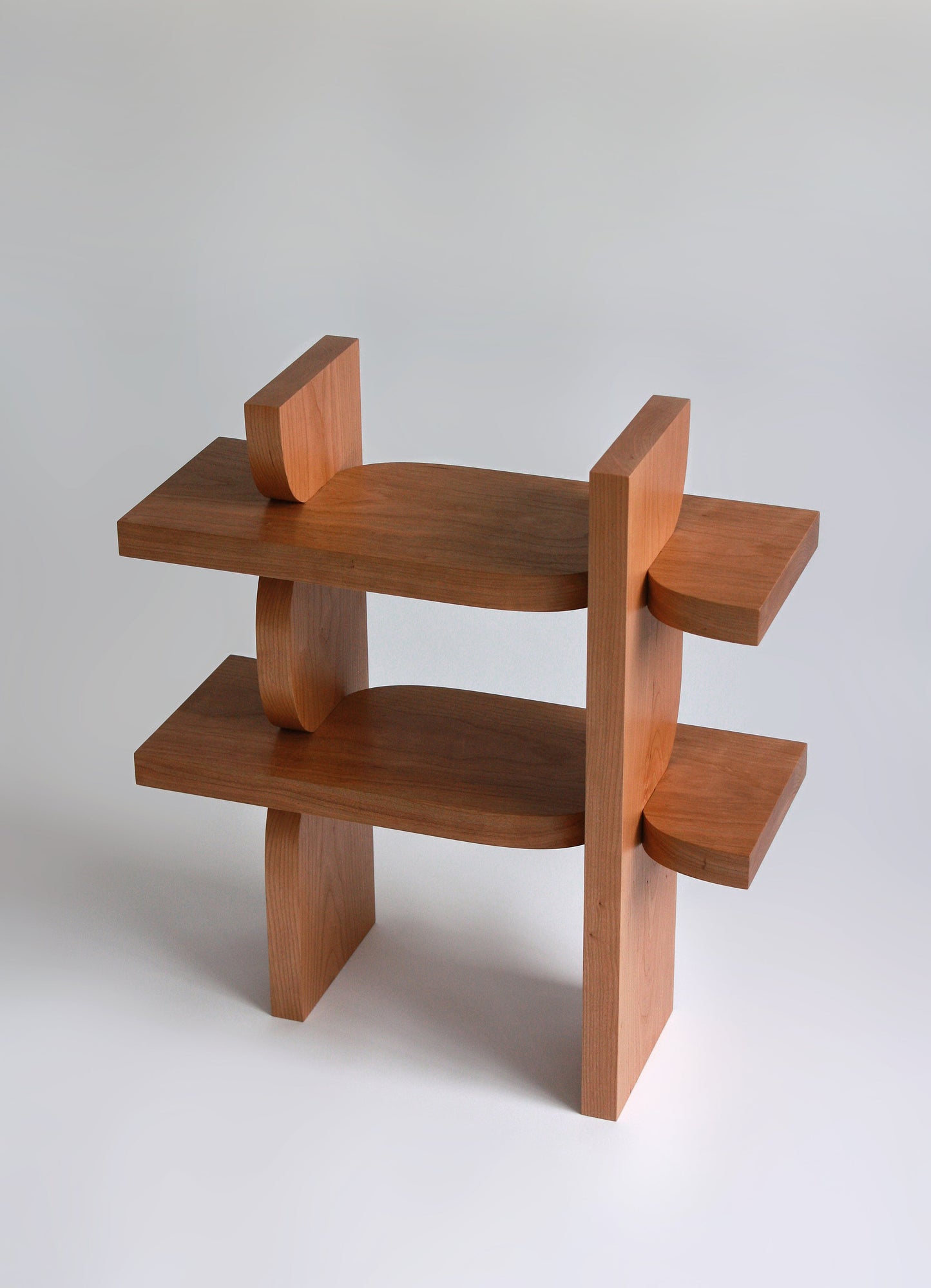 Shelf (Between A Rock and A Hard Place) Bookcases