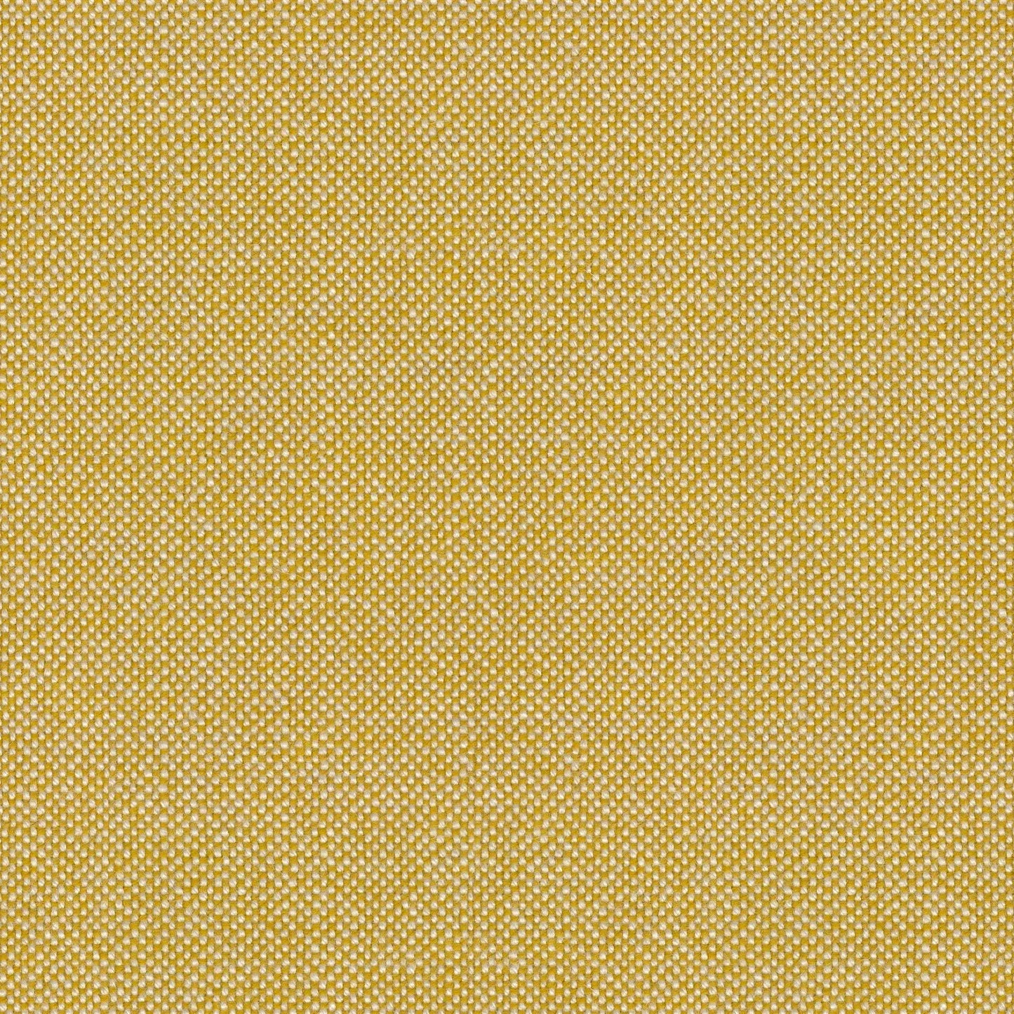 Samples for 54 Chair by Dagmar