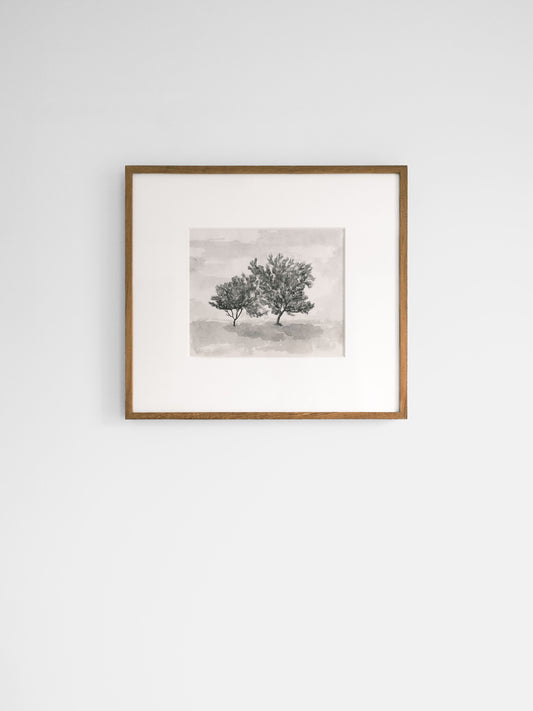 Abricot Trees by Aimée Adriaansen Artwork
