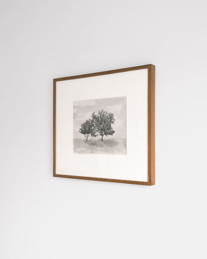 Abricot Trees by Aimée Adriaansen Artwork