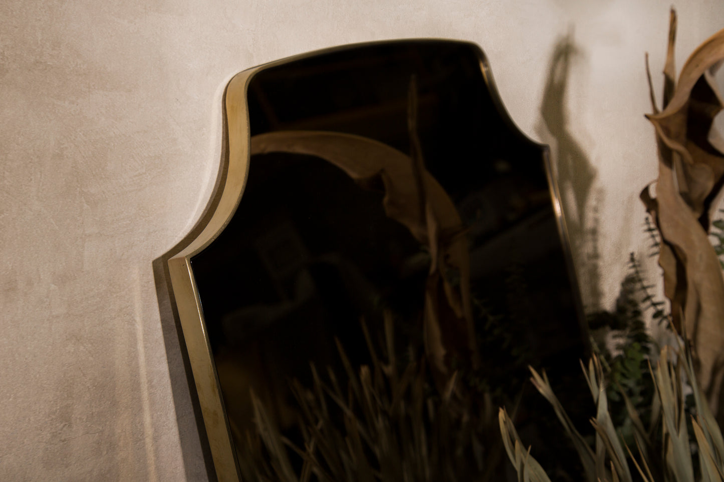Aegis Mirror Mirrors