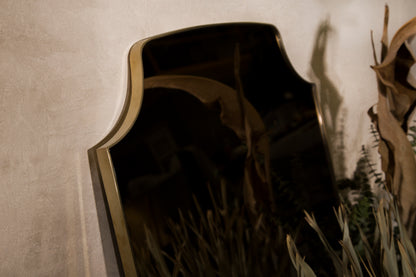 Aegis Mirror Mirrors