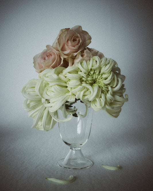 Alban Vase - Poppy Vases