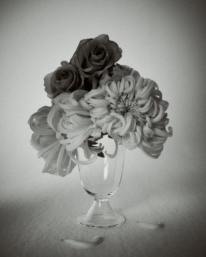 Alban Vase - Poppy Vases