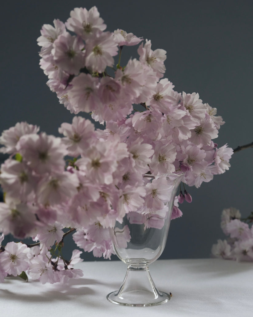 Alban Vase - Poppy Vases