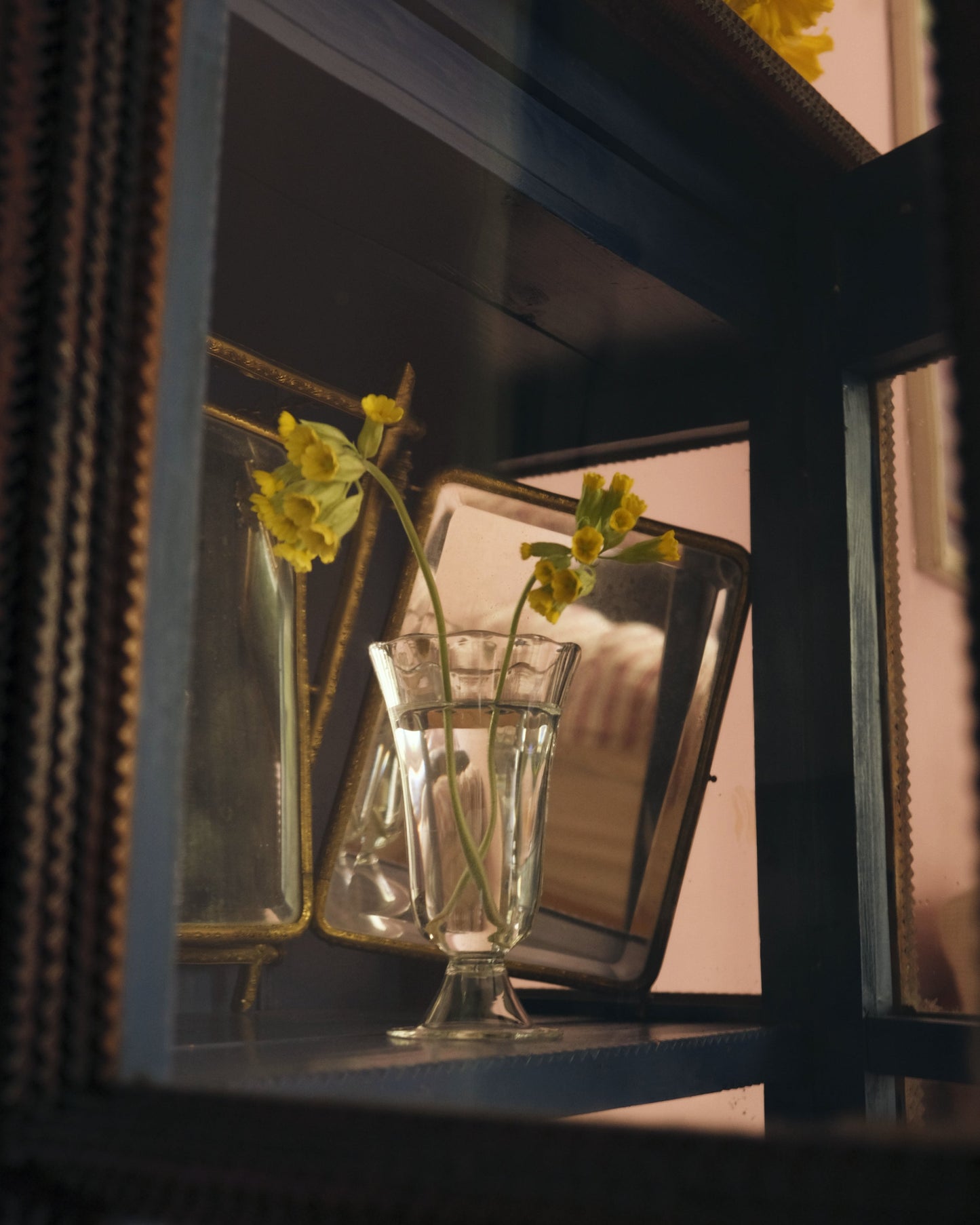 Alban Vase - Tulip Vases