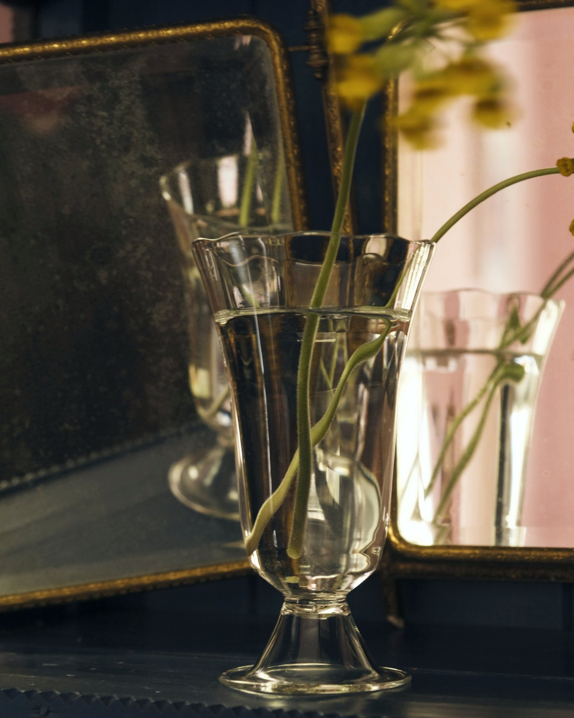 Alban Vase - Tulip Vases