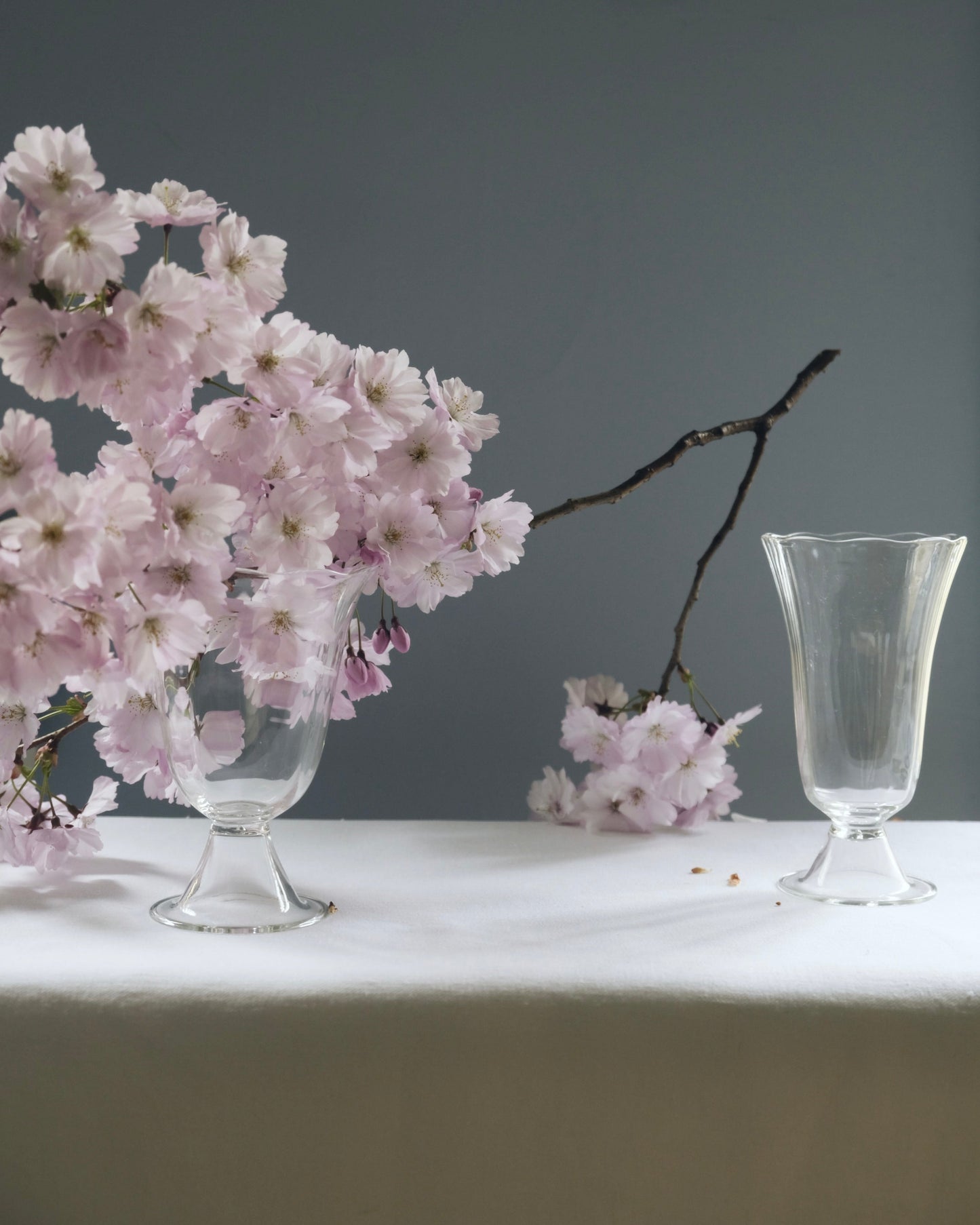 Alban Vase - Tulip Vases