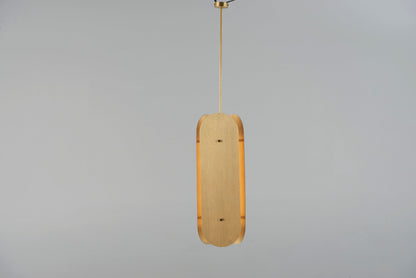 Arch Pendant 02 Pendant Lights