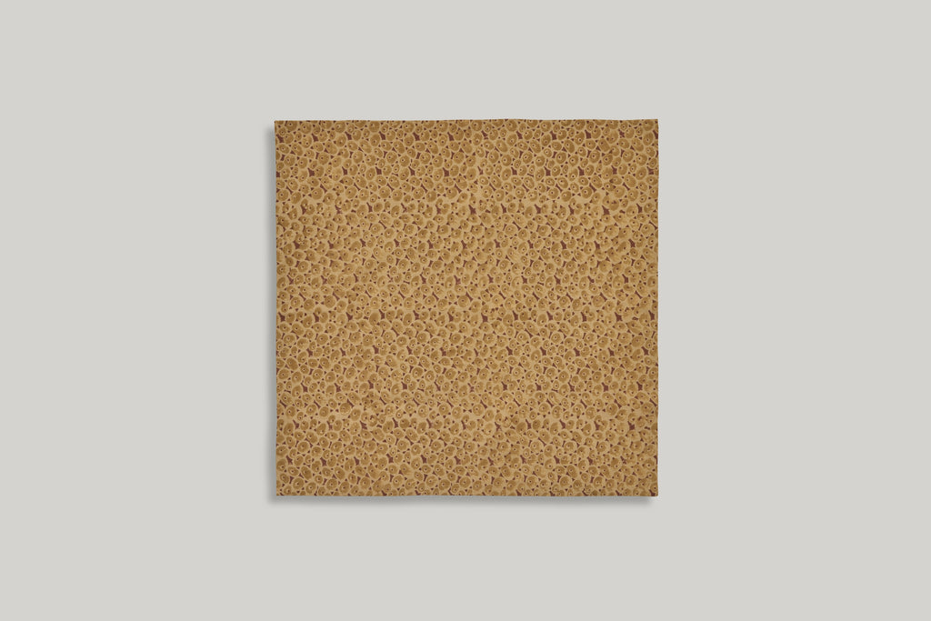 Attendant Napkin by Studio Ford, Set of 4 Napkins