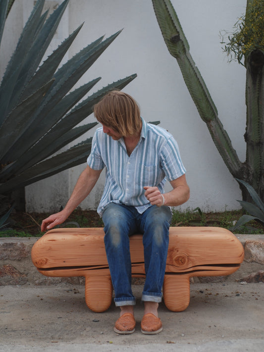 Ballena Bench Benches